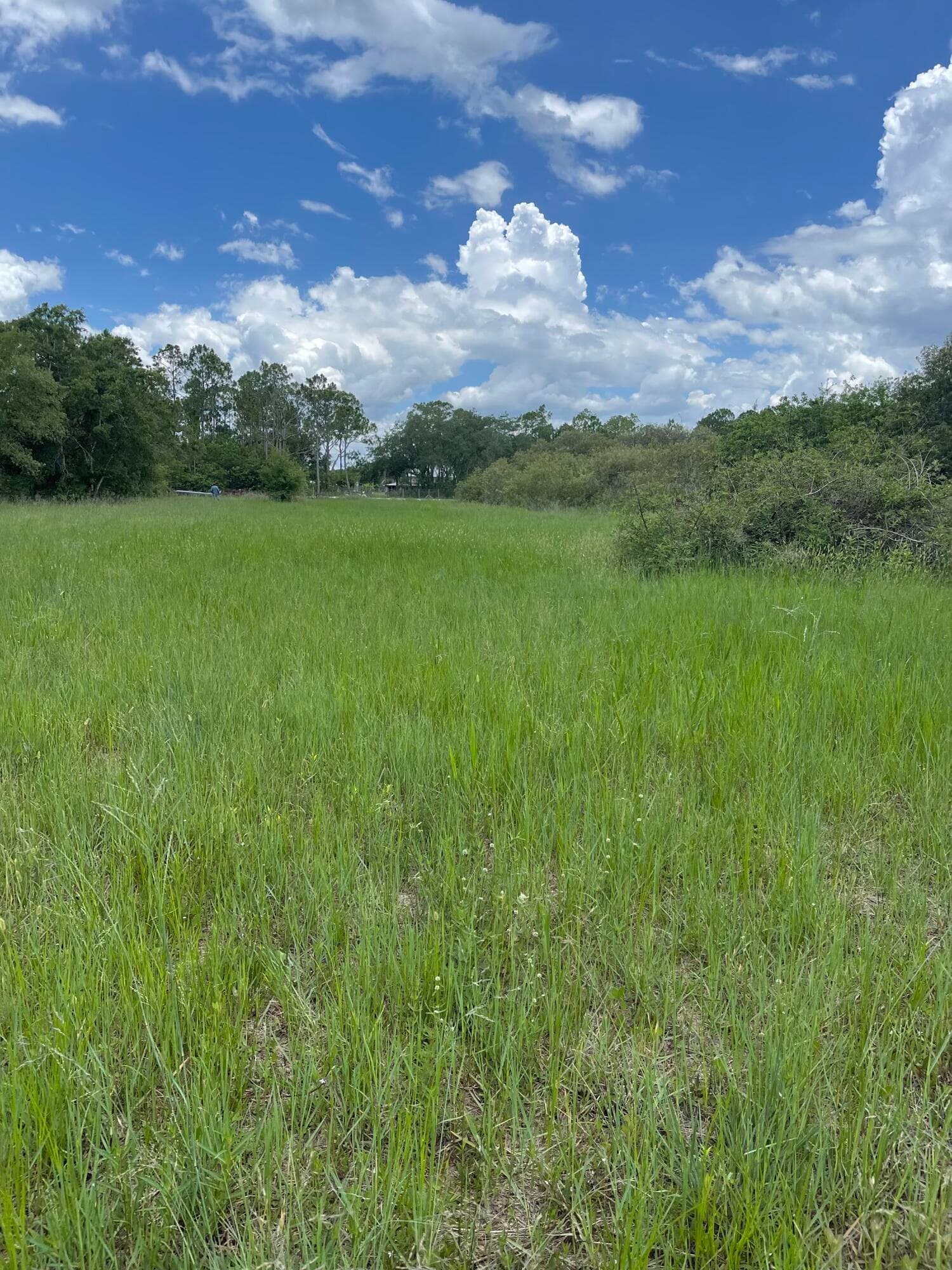 13822 Hamlin Avenue, Clewiston, FL 33440 — photo 19 of 30