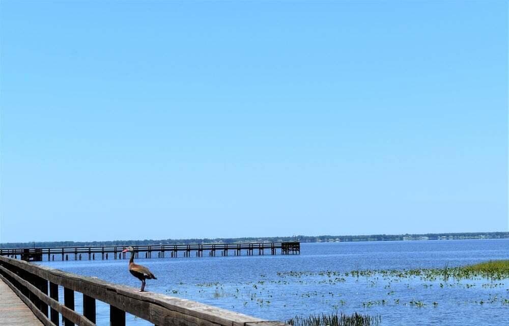 405 Pandora Drive, Indian Lake Estates, FL 33855 — photo 13 of 15