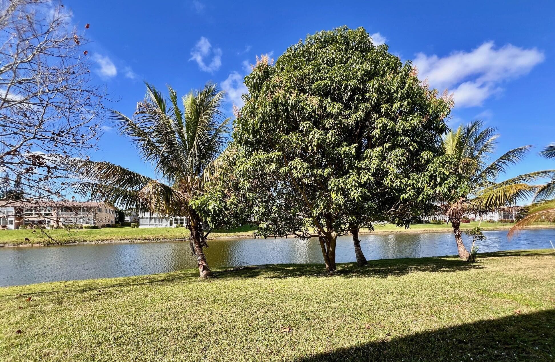 240 Bedford J, West Palm Beach, FL 33417 — photo 1 of 19
