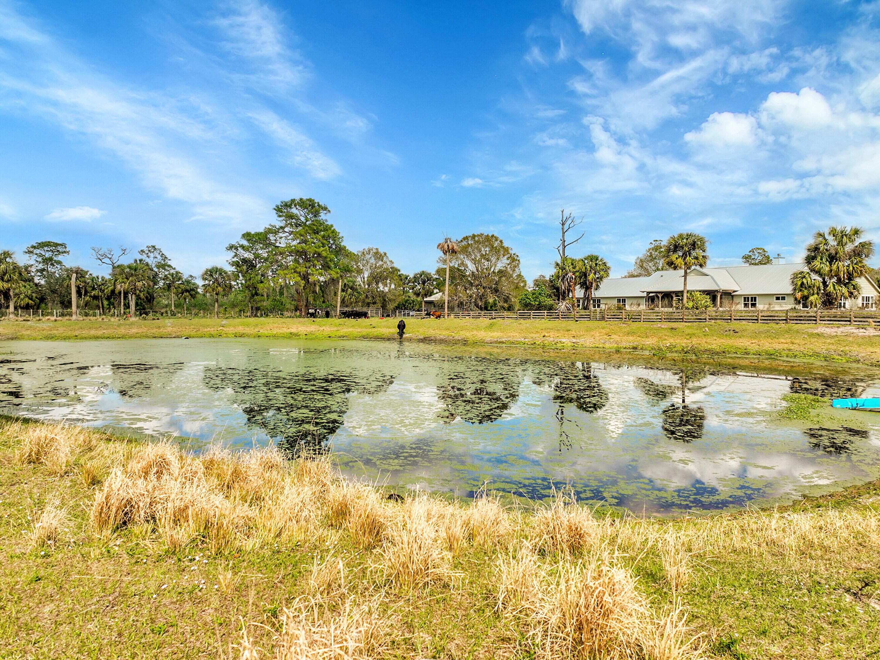 3901 Wild Turkey Trail Trail, Okeechobee, FL 34974 — photo 37 of 50