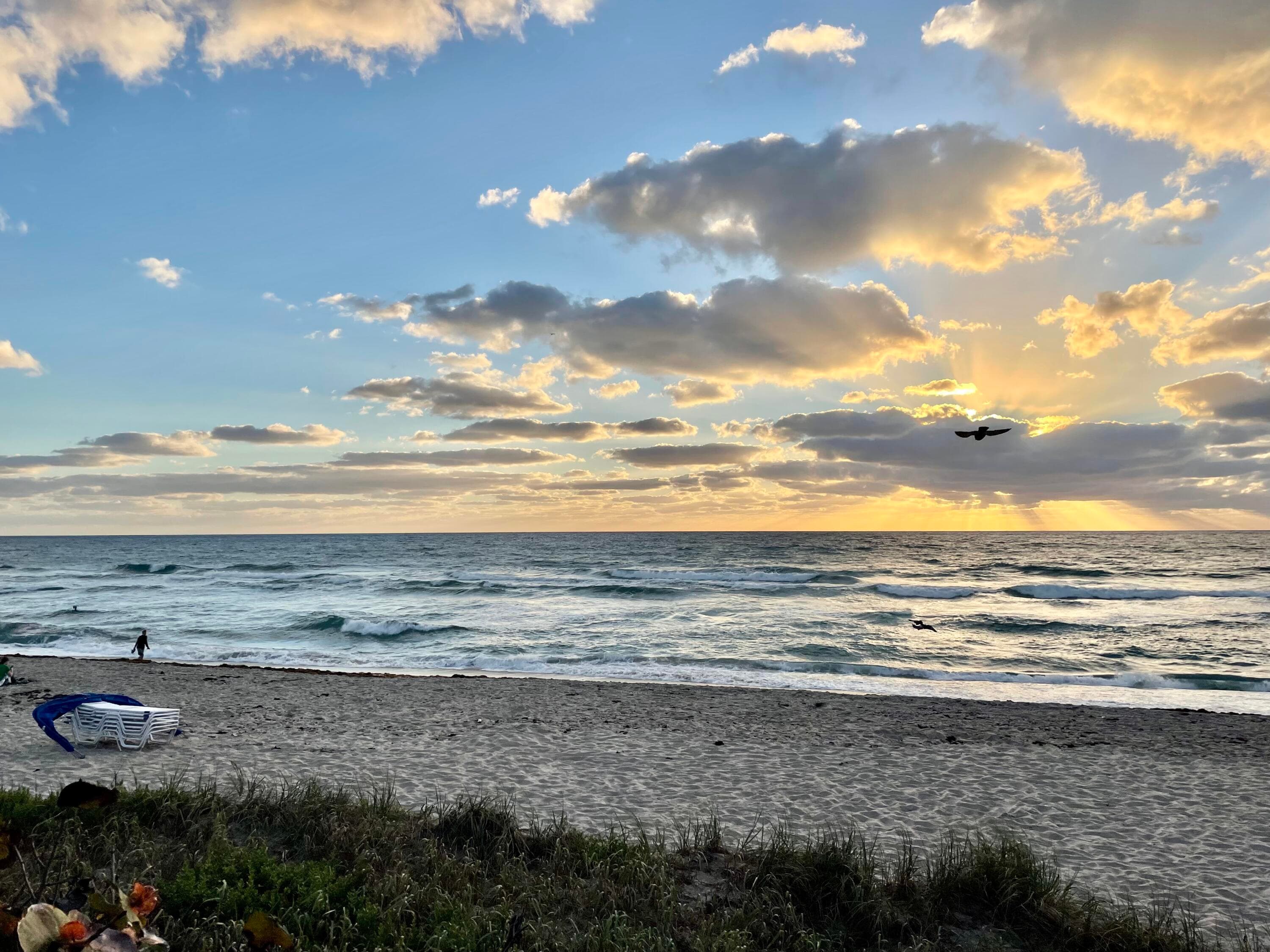 921 S M Street, Lake Worth Beach, FL 33460 — photo 54 of 63