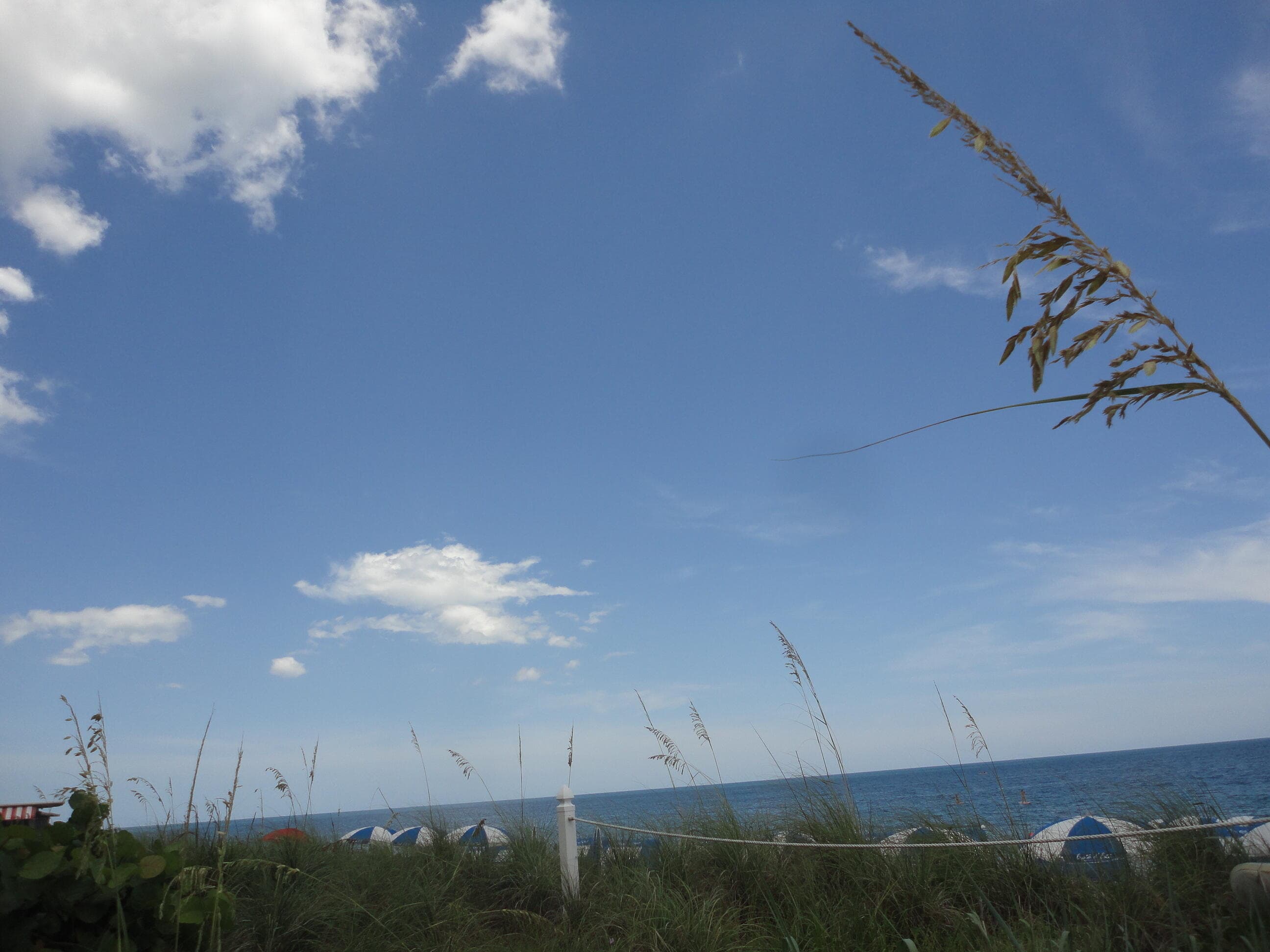 1440 Lexington Square SW, Vero Beach, FL 32962 — photo 57 of 68