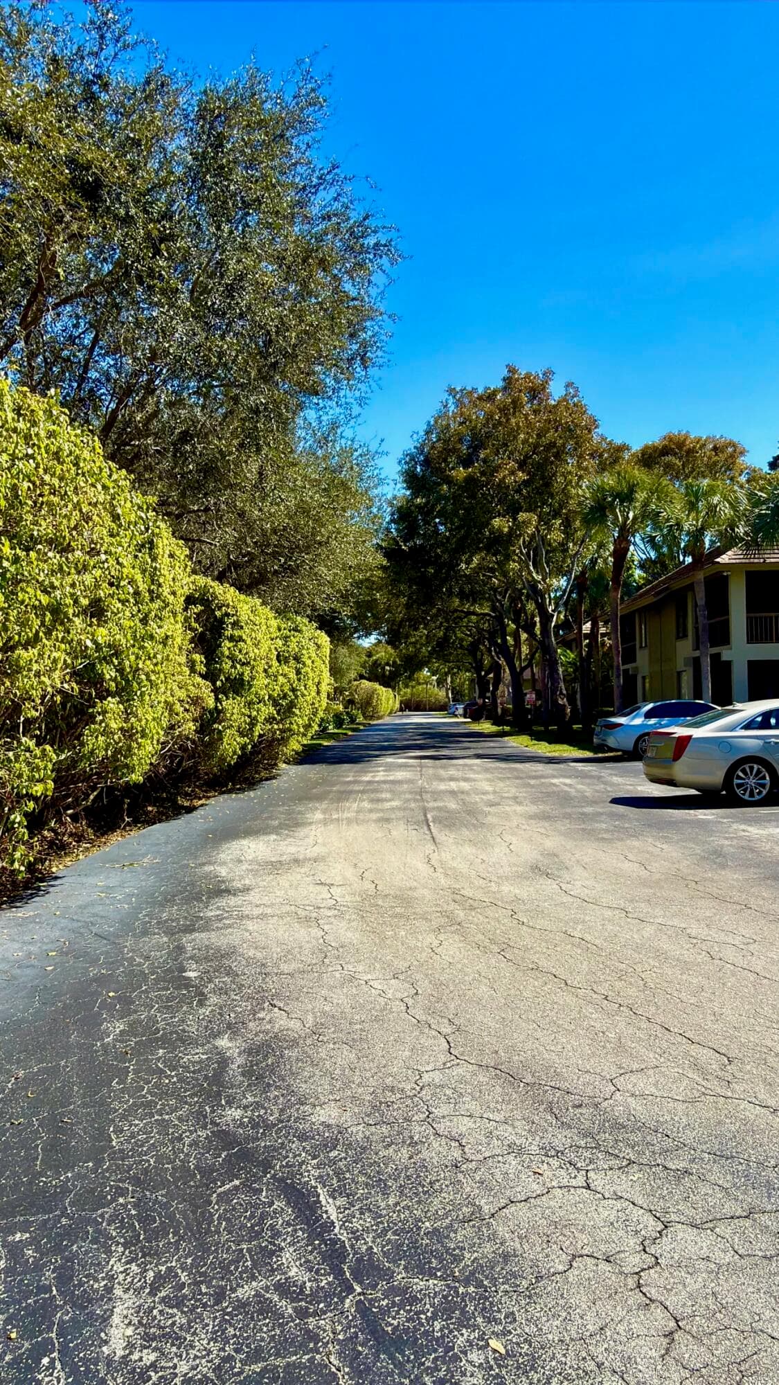 159 NW 70th Street 518, Boca Raton, FL 33487 — photo 9 of 15