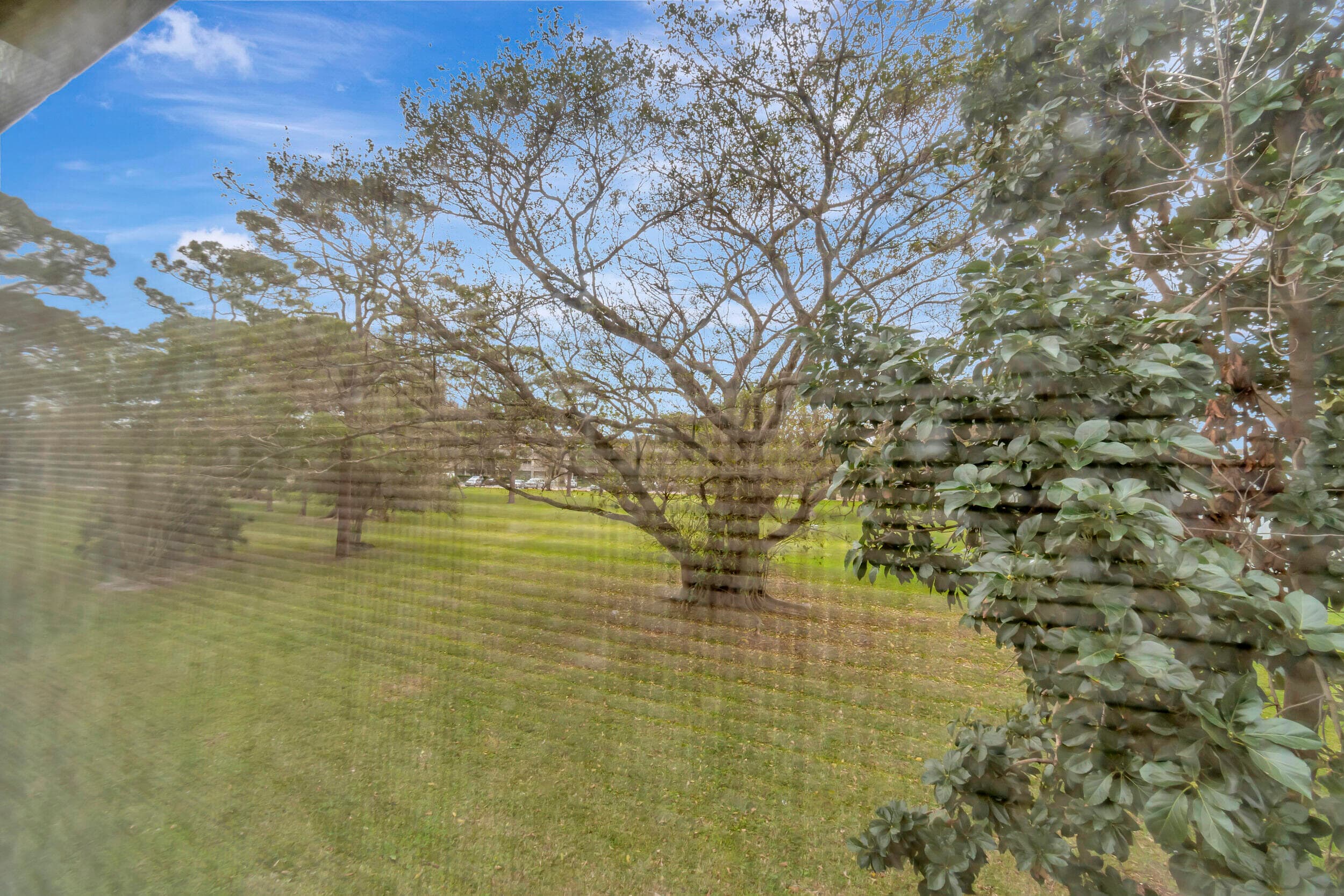 51 Ventnor C, Deerfield Beach, FL 33442 — photo 37 of 42