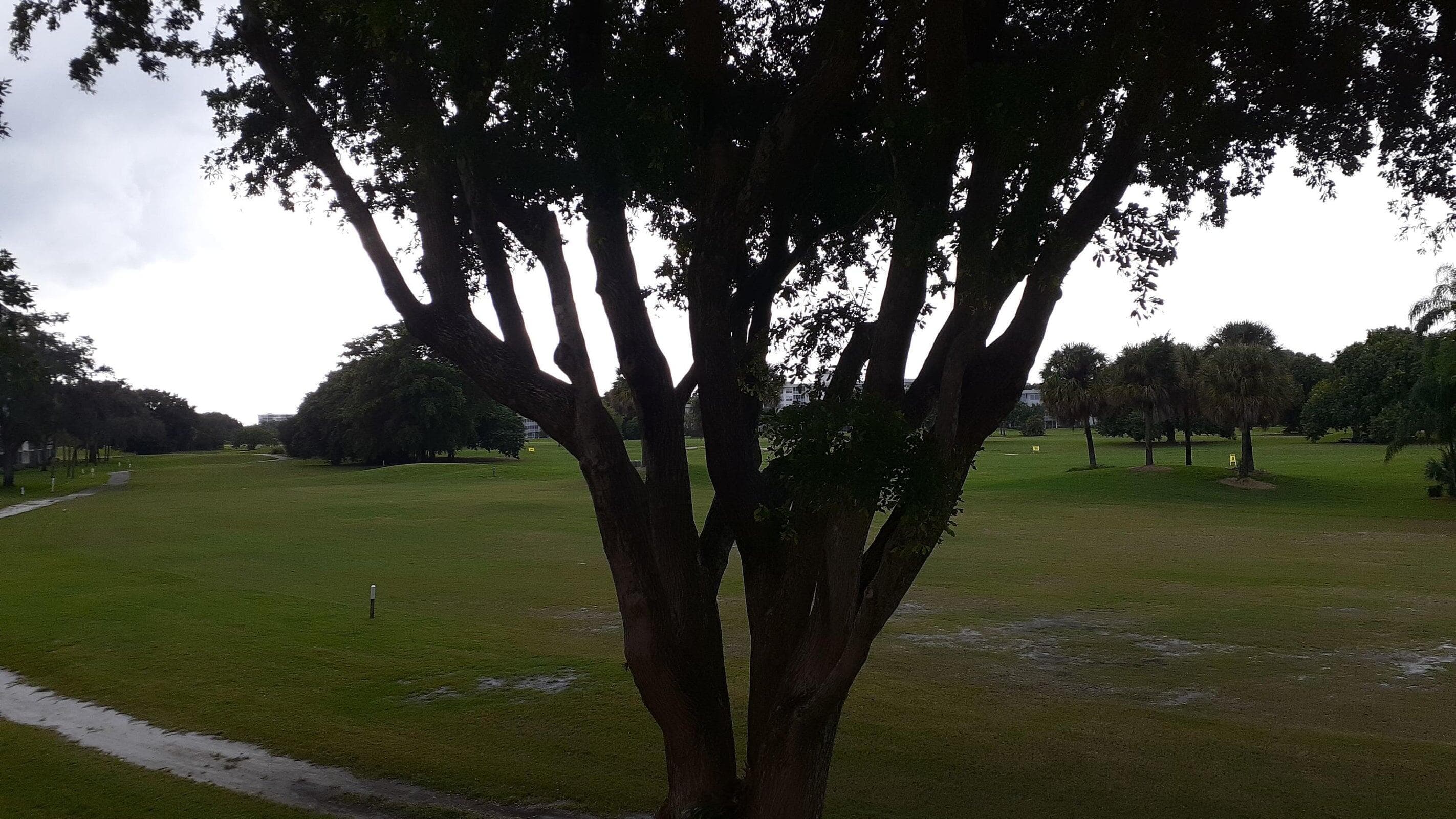 2601 S Course Drive 203, Pompano Beach, FL 33069 — photo 20 of 20