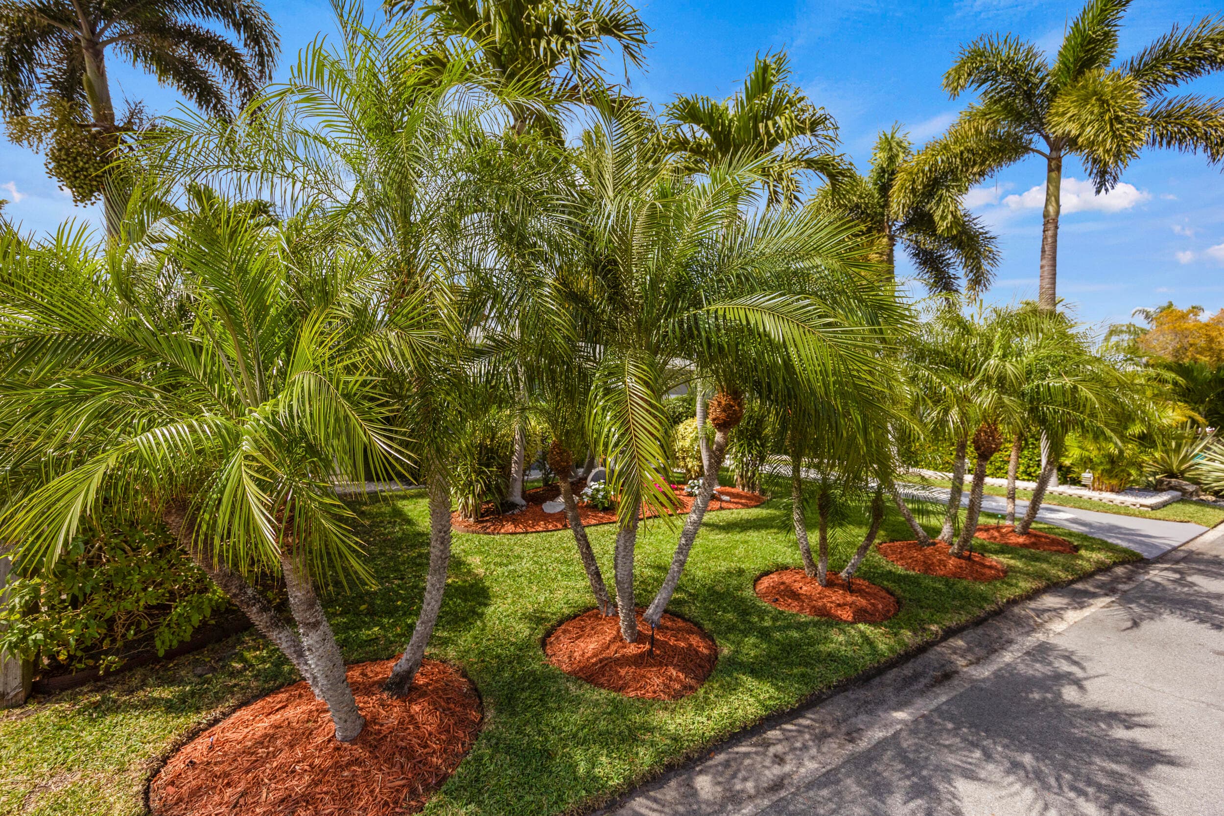 1309 N N Street, Lake Worth Beach, FL 33460 — photo 5 of 60