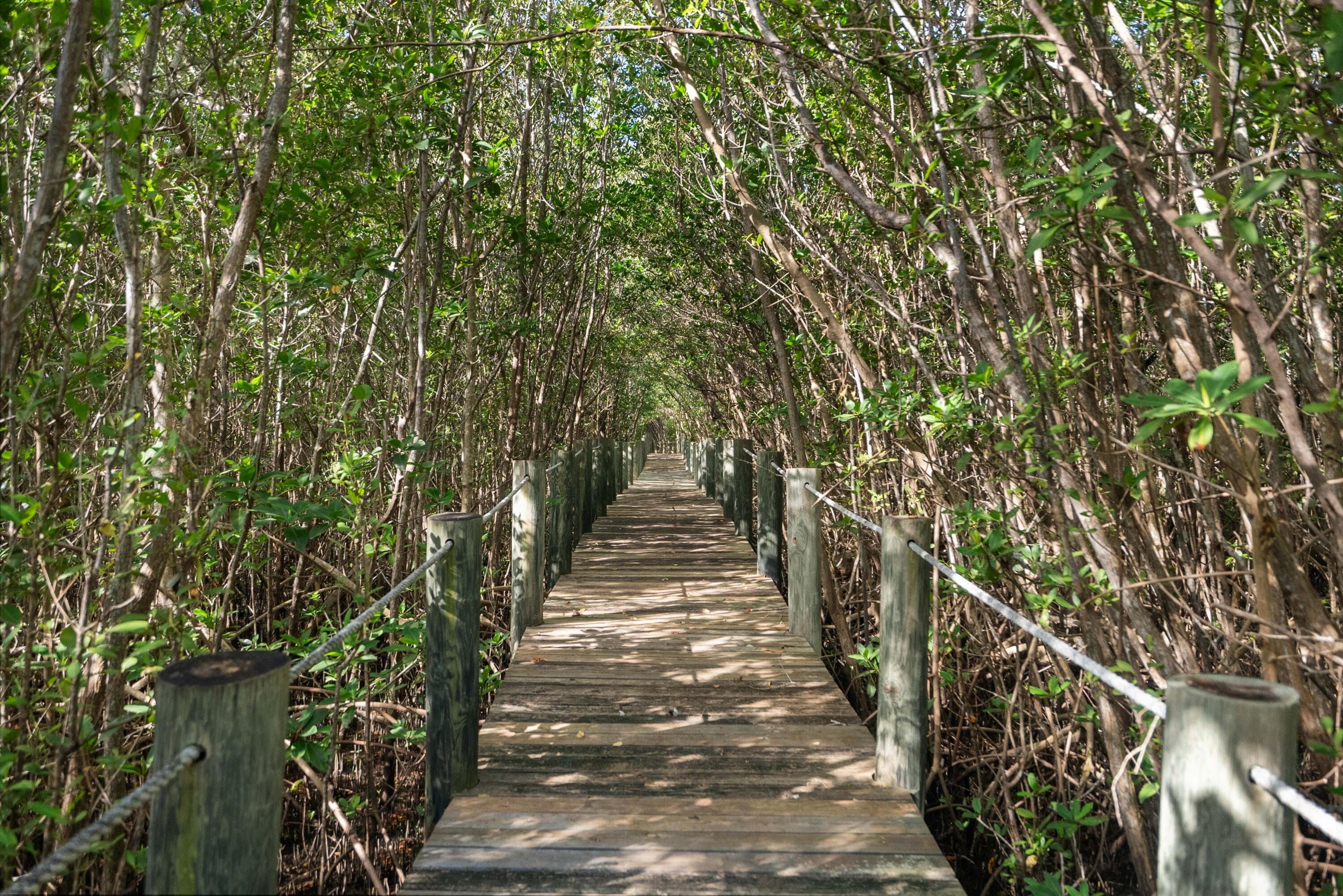 10187 S Ocean Drive 1, Jensen Beach, FL 34957 — photo 29 of 30