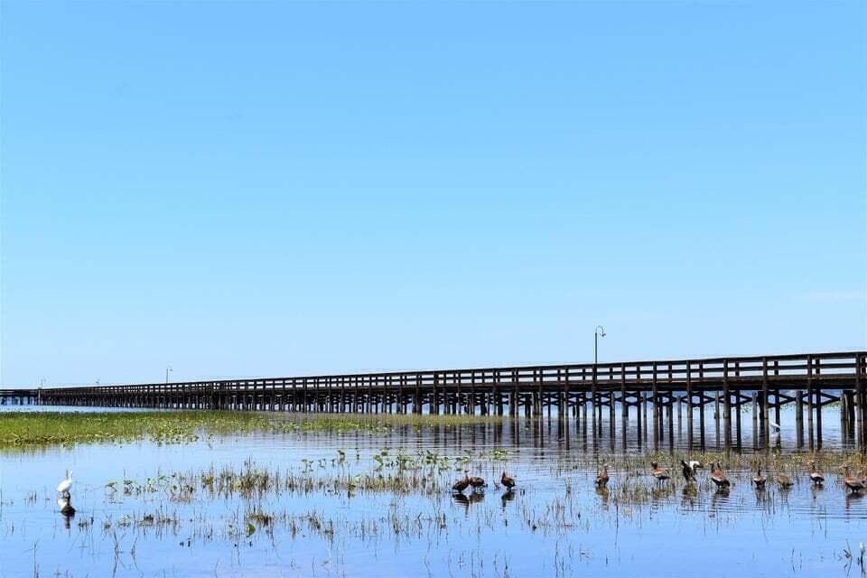Tbd Azalea Drive, Indian Lake Estates, FL 33855 — photo 10 of 14