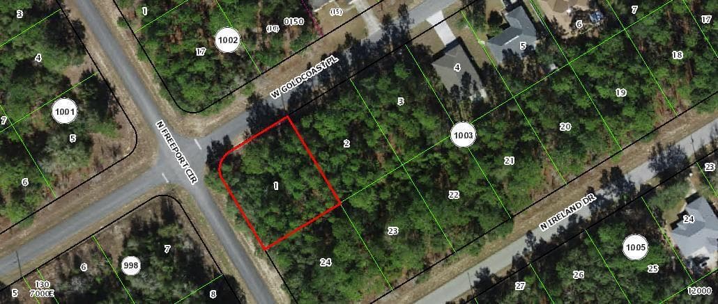 156 W Goldcoast Place, Citrus Springs, FL 34434 — photo