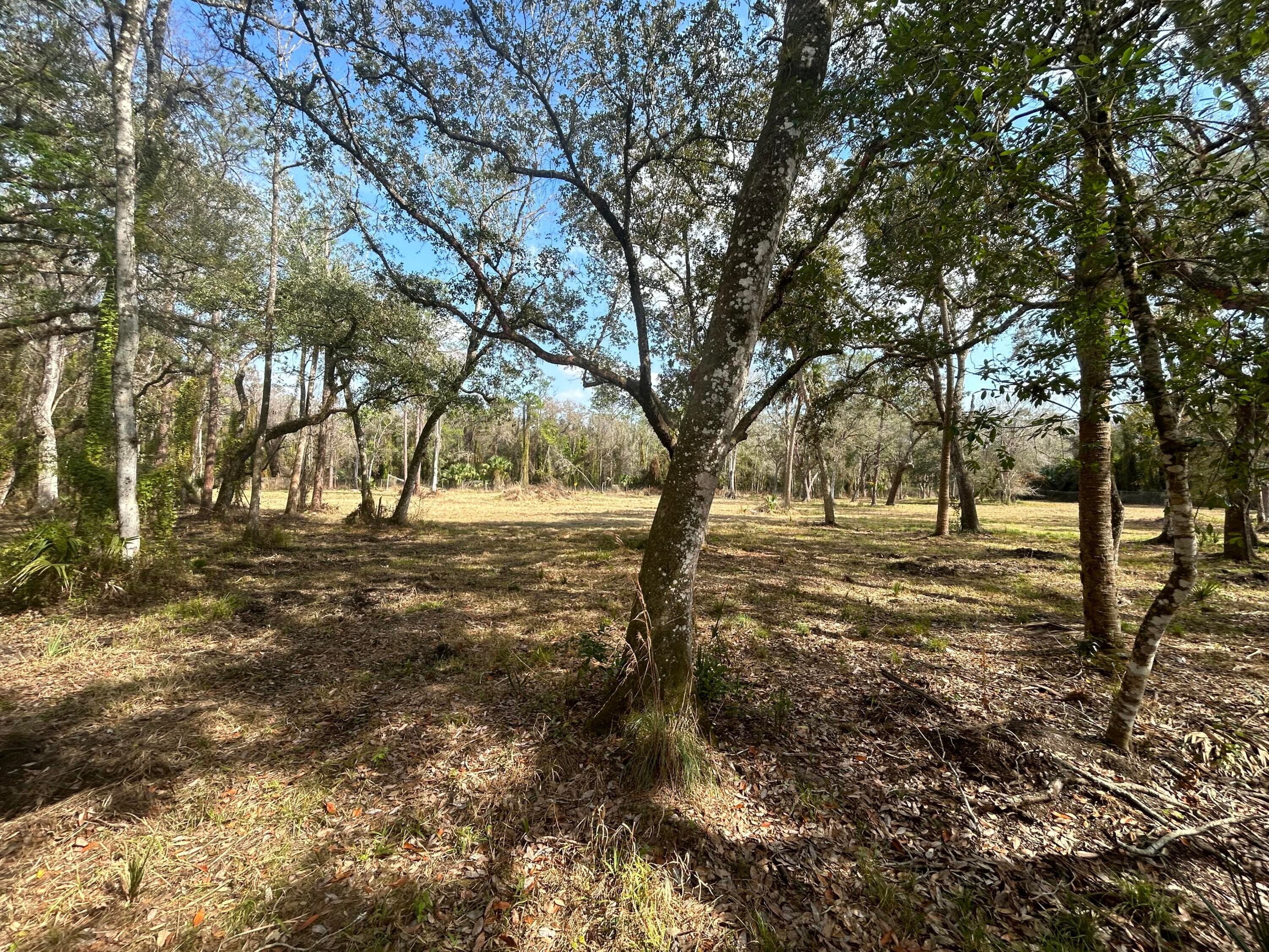 855 NW 368th Drive, Okeechobee, FL 34972 — photo 4 of 13