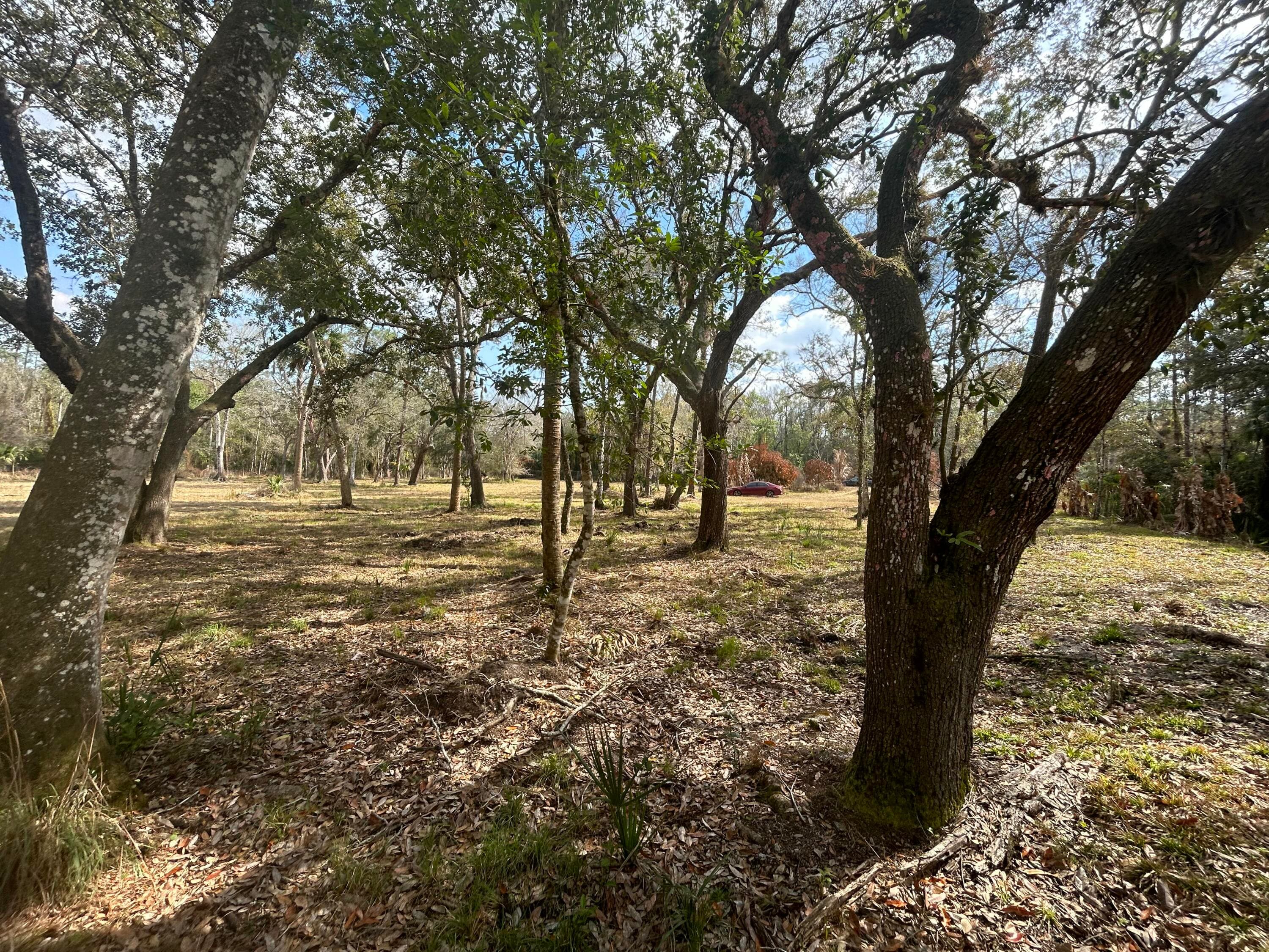 855 NW 368th Drive, Okeechobee, FL 34972 — photo 5 of 13