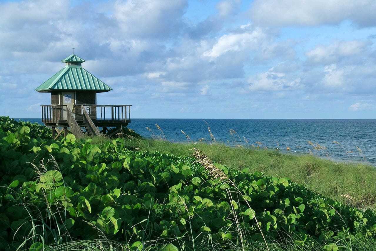500 SE Mizner Boulevard A310, Boca Raton, FL 33432 — photo 73 of 86