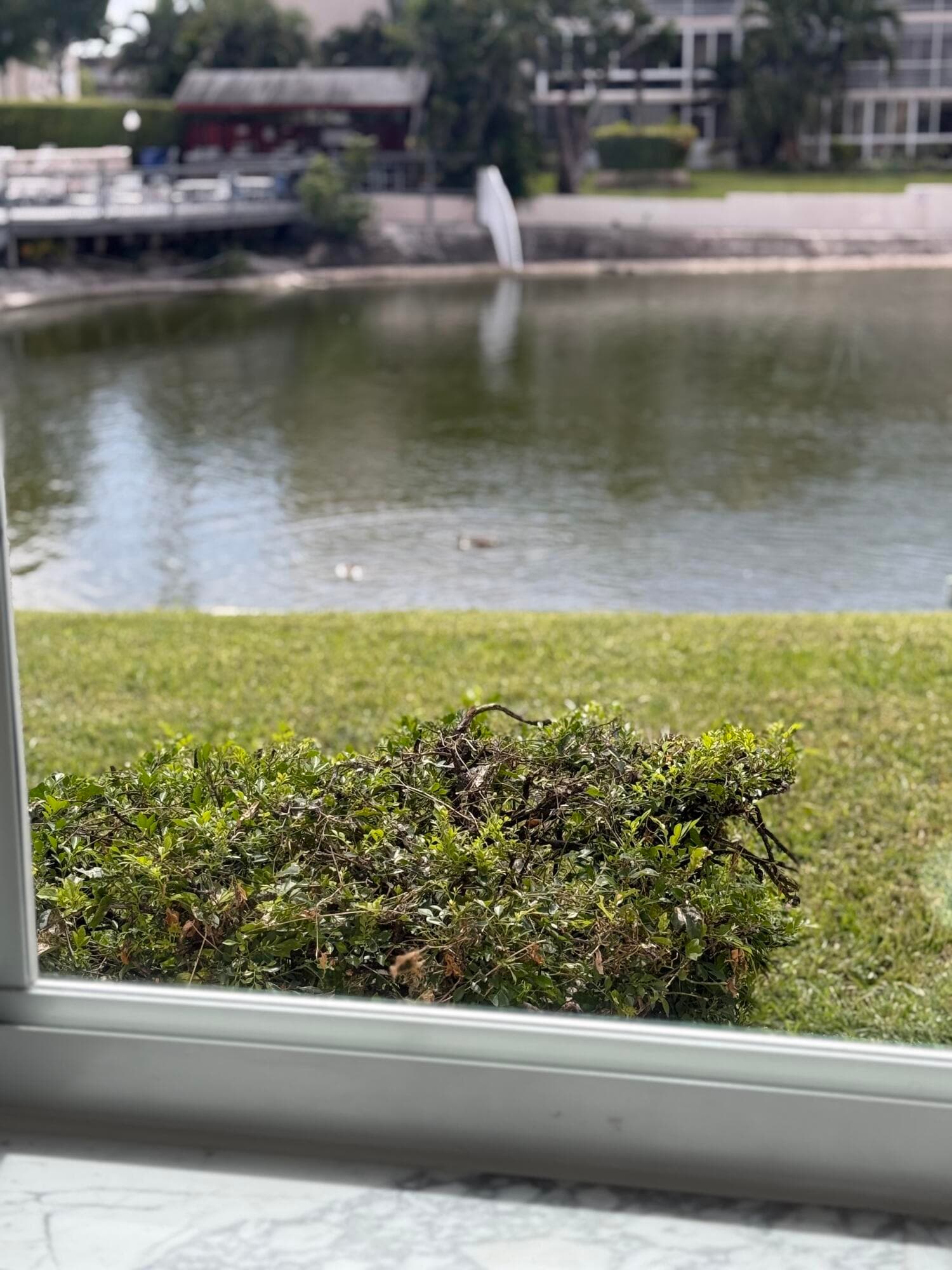 2616 N Gardens Drive 105, Lake Worth, FL 33461 — photo 13 of 17