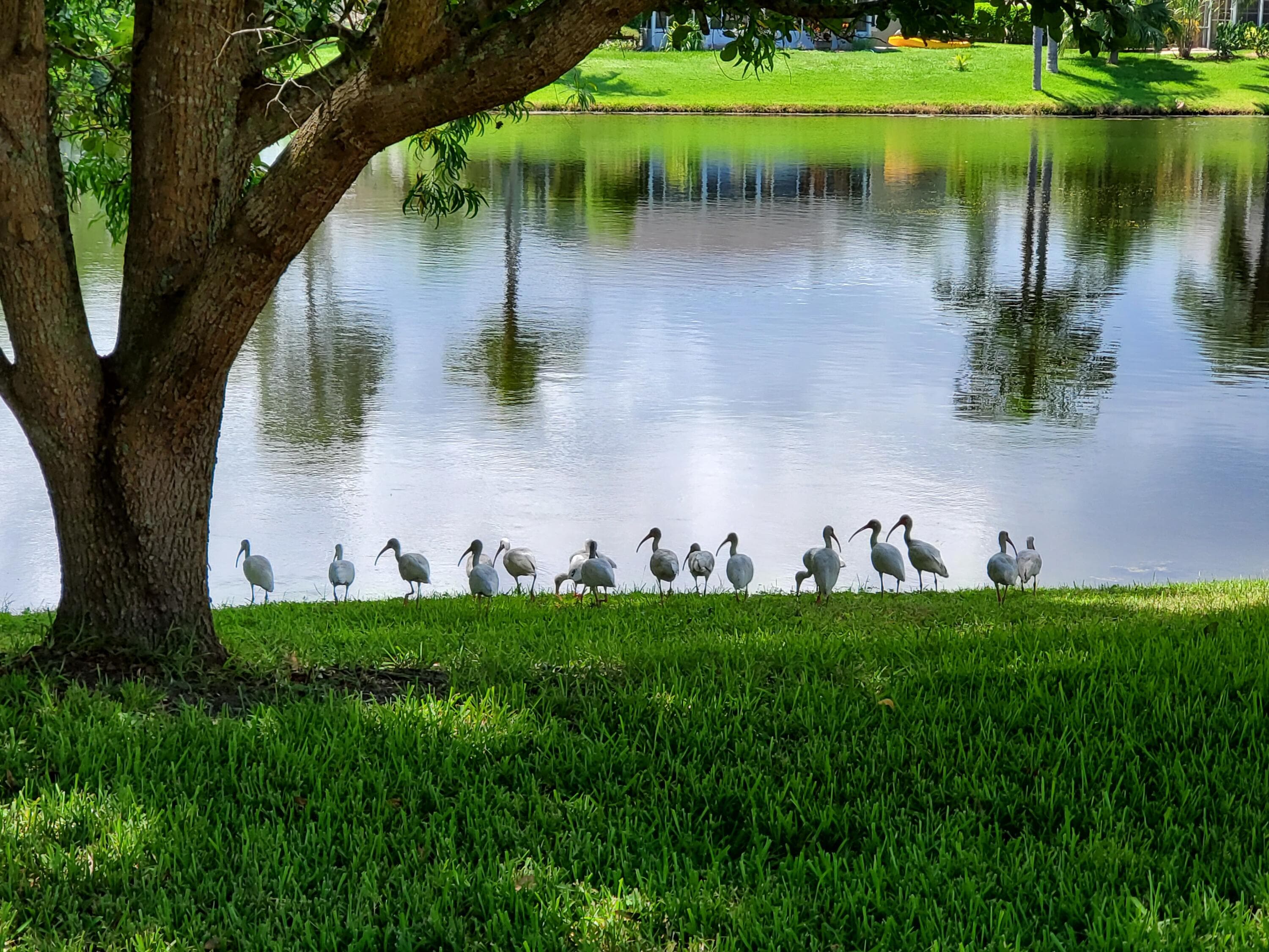 6711 Dickinson Terrace, Port St. Lucie, FL 34952 — photo 30 of 63