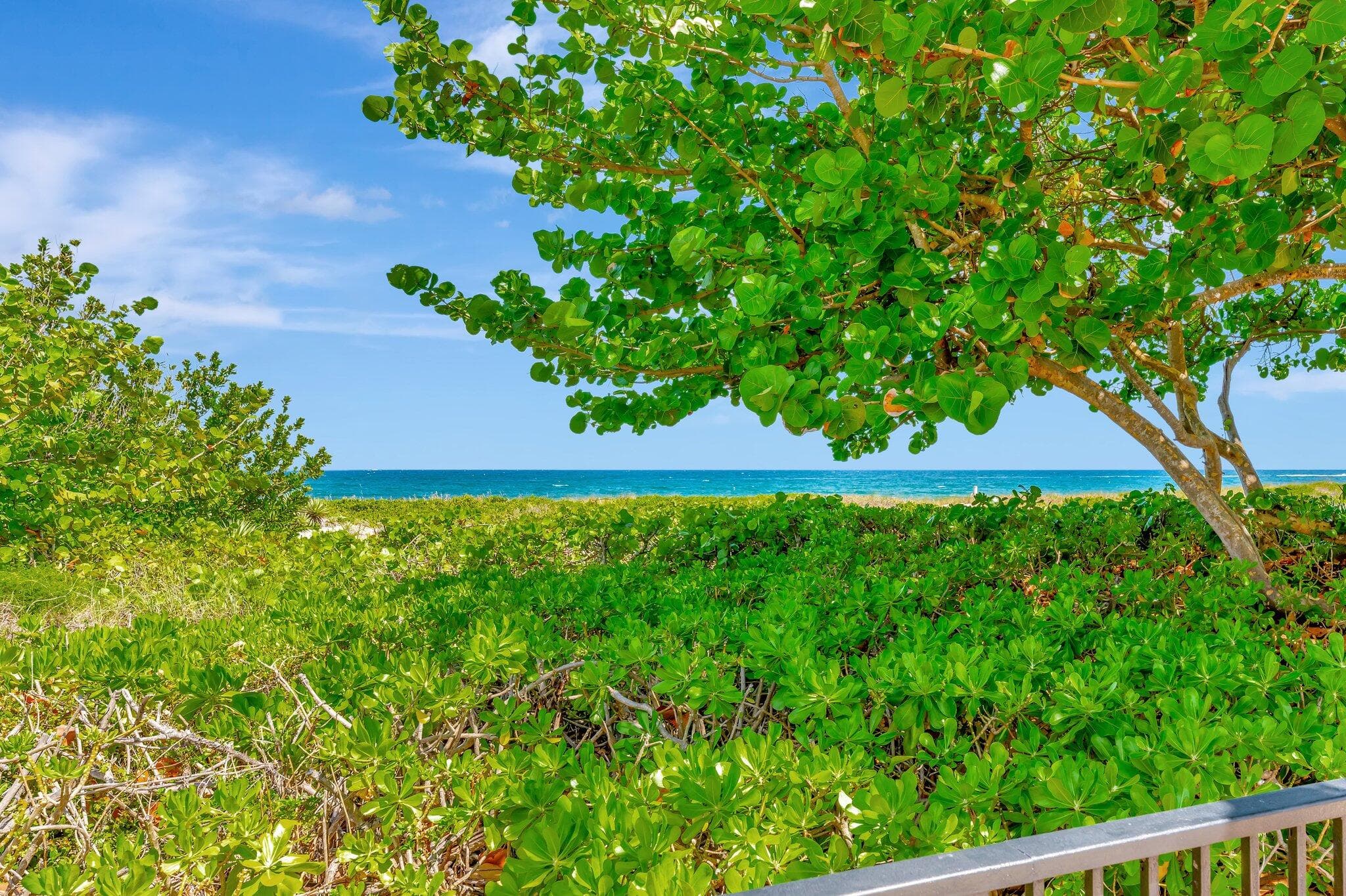 1900 S Ocean Boulevard 8g, Lauderdale-By-The-Sea, FL 33062 — photo 30 of 54