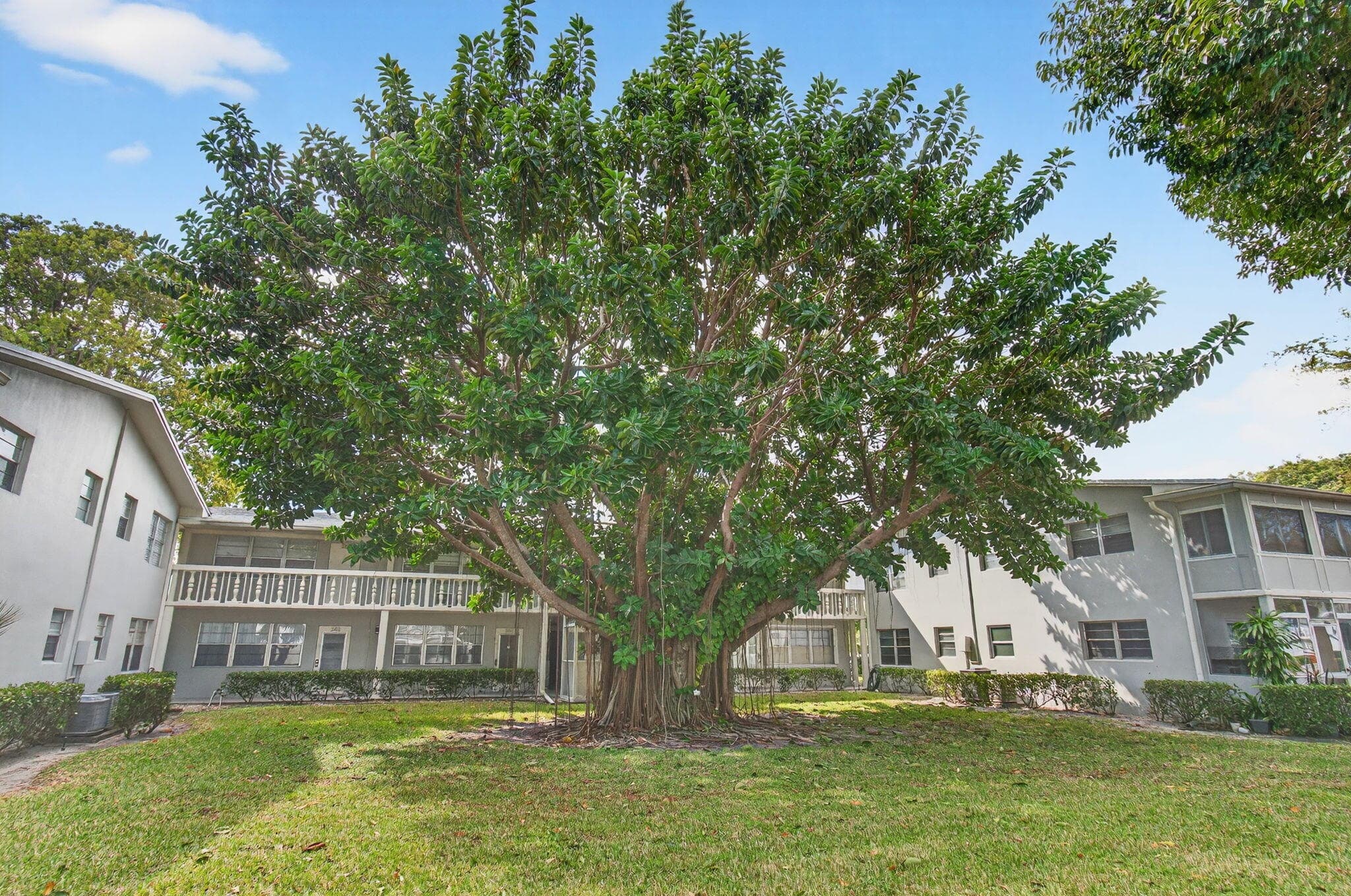 247 Ventnor R, Deerfield Beach, FL 33442 — photo 45 of 124