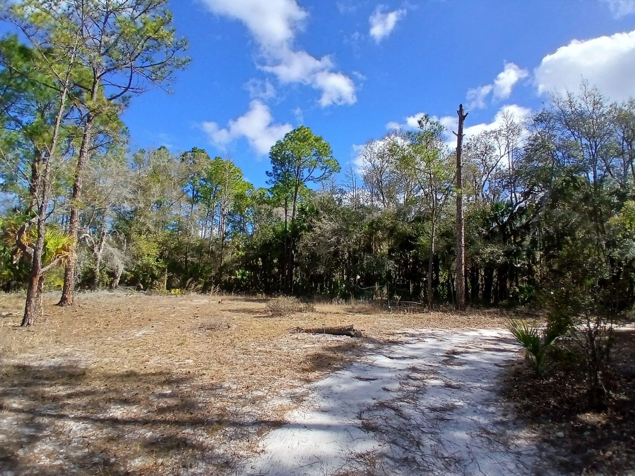 11991 W Flaxen Drive, Crystal River, FL 34428 — photo 3 of 7