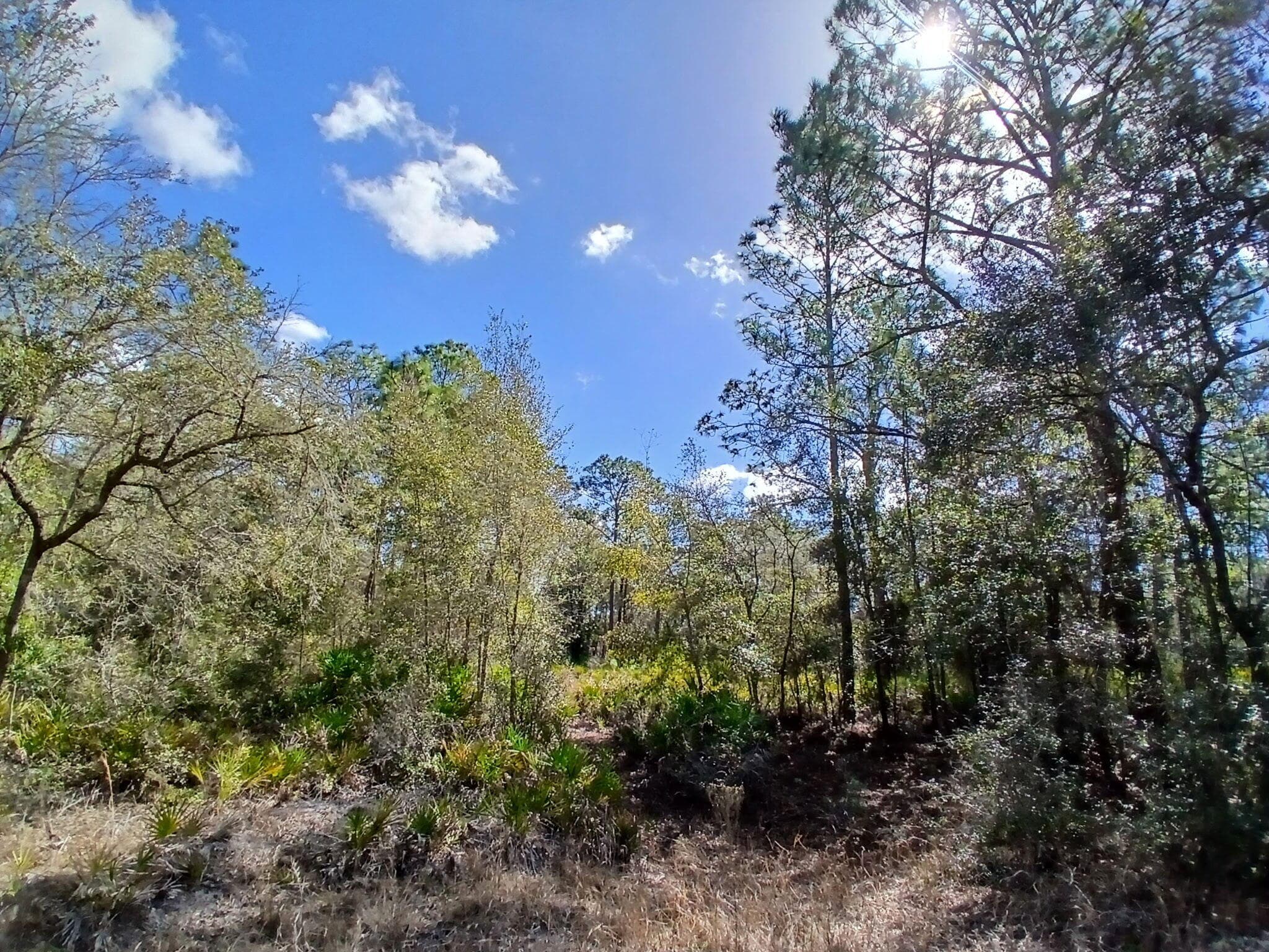 11991 W Flaxen Drive, Crystal River, FL 34428 — photo 4 of 7