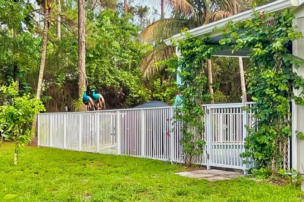12394 61st Lane N, West Palm Beach, FL 33412 — photo 27 of 30