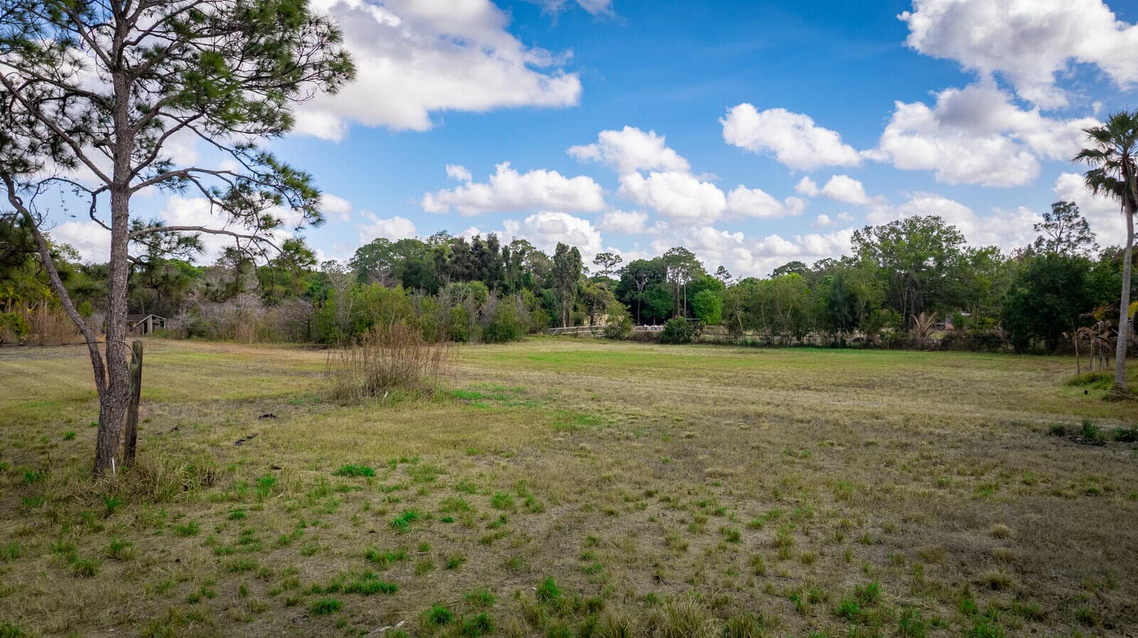 3852 161st Terrace N, Loxahatchee Groves, FL 33470 — photo 5 of 9