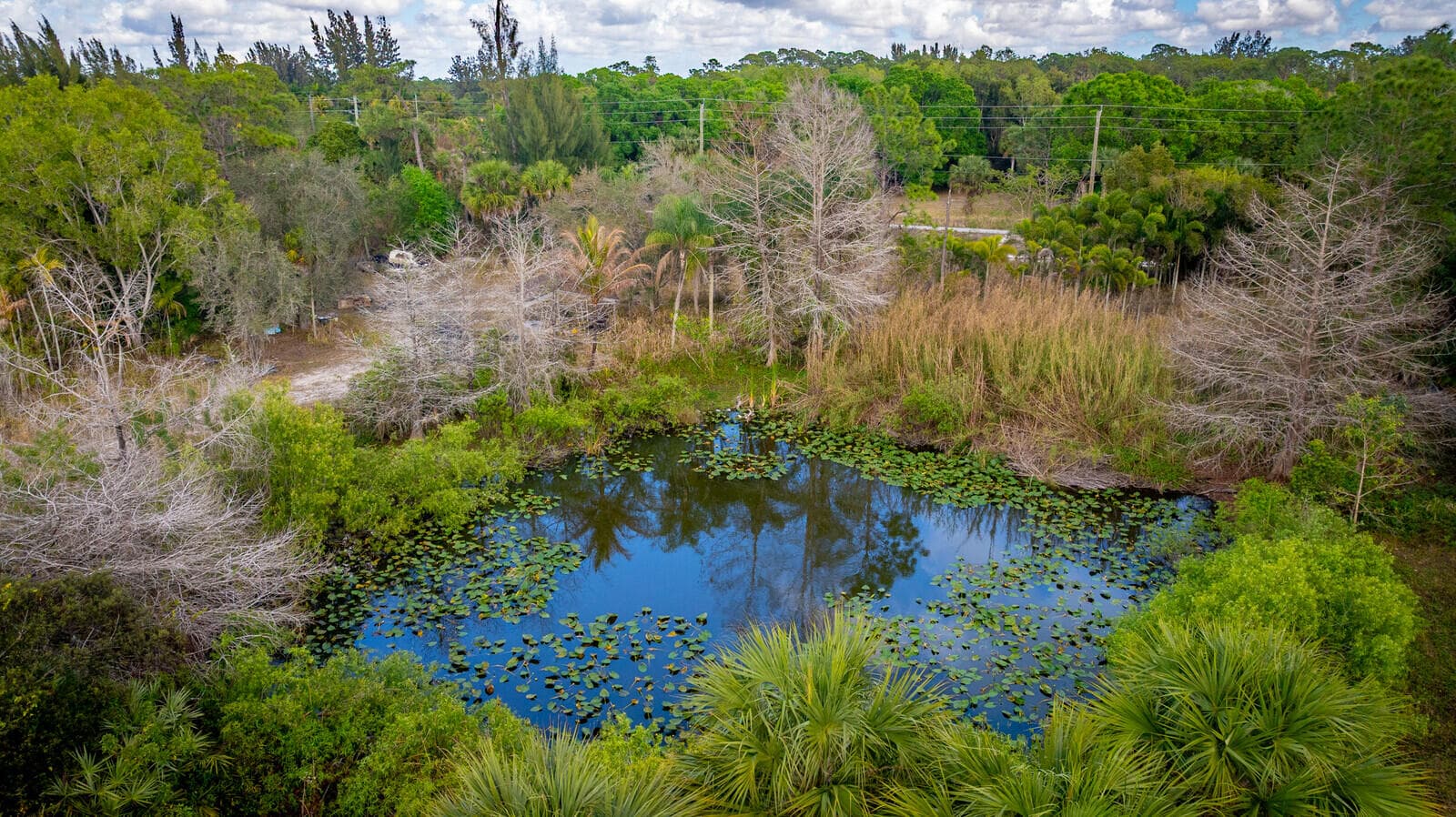 3852 161st Terrace N, Loxahatchee Groves, FL 33470 — photo 7 of 9