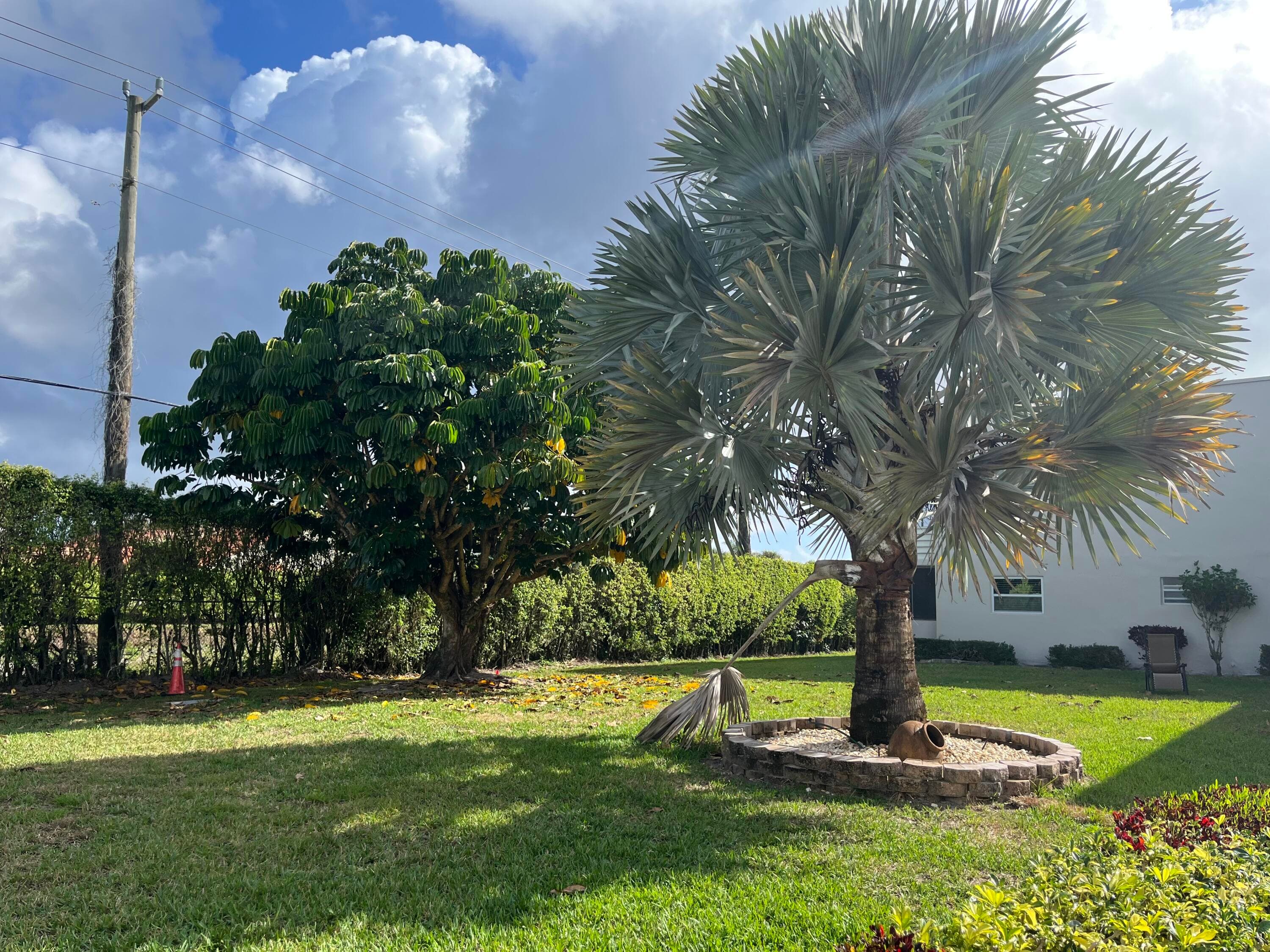 142 Normandy C, Delray Beach, FL 33484 — photo 32 of 33