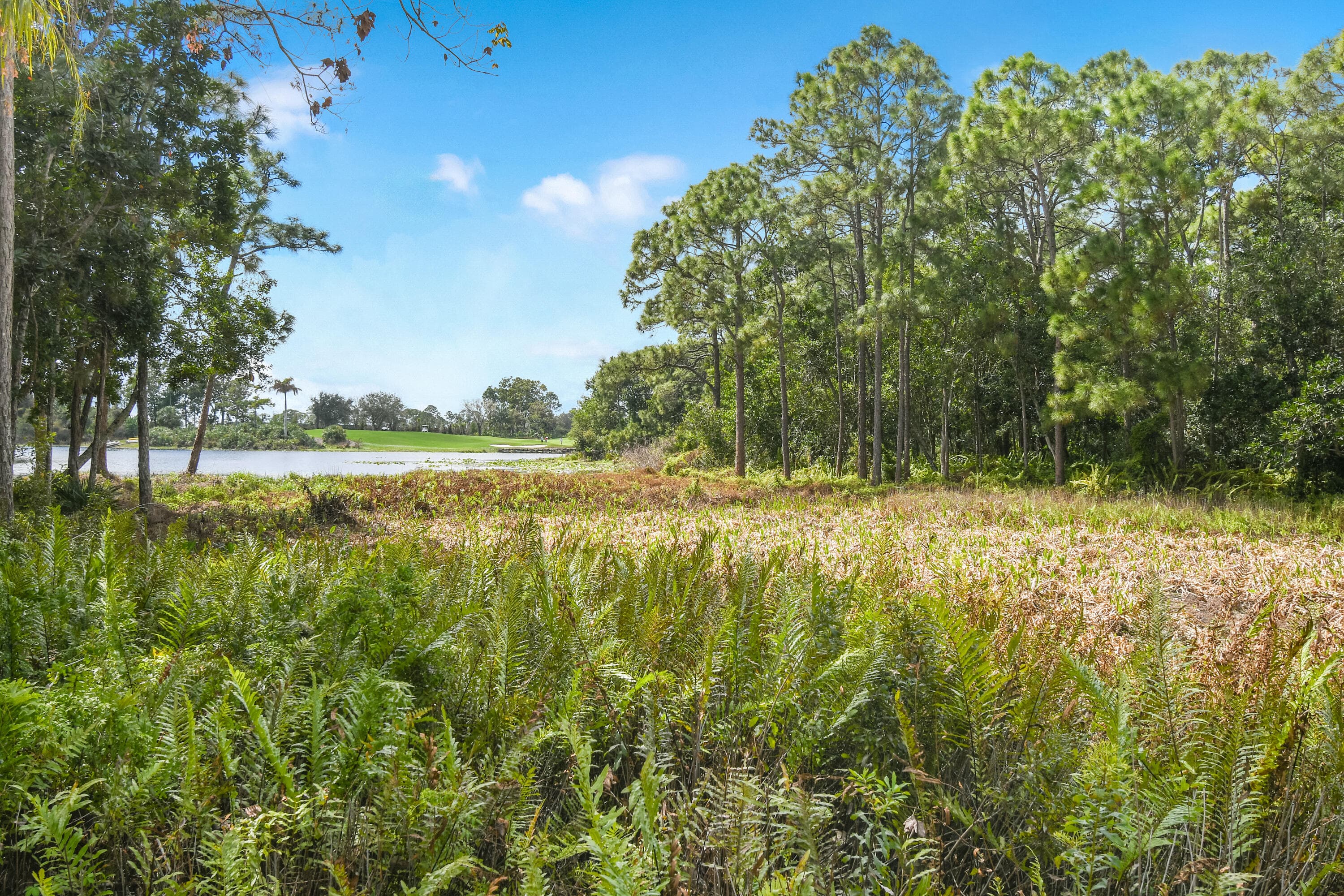 2201 NW Seagrass Drive, Palm City, FL 34990 — photo 78 of 82