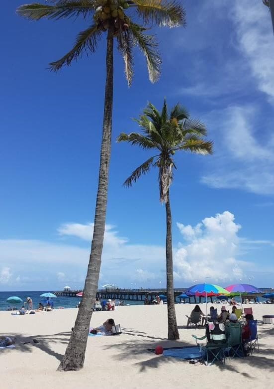 1439 S Ocean Boulevard 217, Pompano Beach, FL 33062 — photo 18 of 20