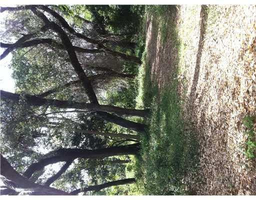 Unimproved Land in South Florida — photo 2 of 5