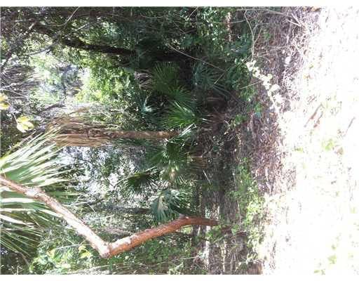 Unimproved Land in South Florida — photo 4 of 5