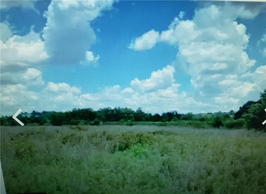Lot D6 Palm Circle, GA 32008 — photo 3 of 8
