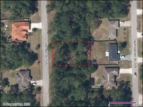 1111 Hanson, Palm Bay, FL 32908 — photo