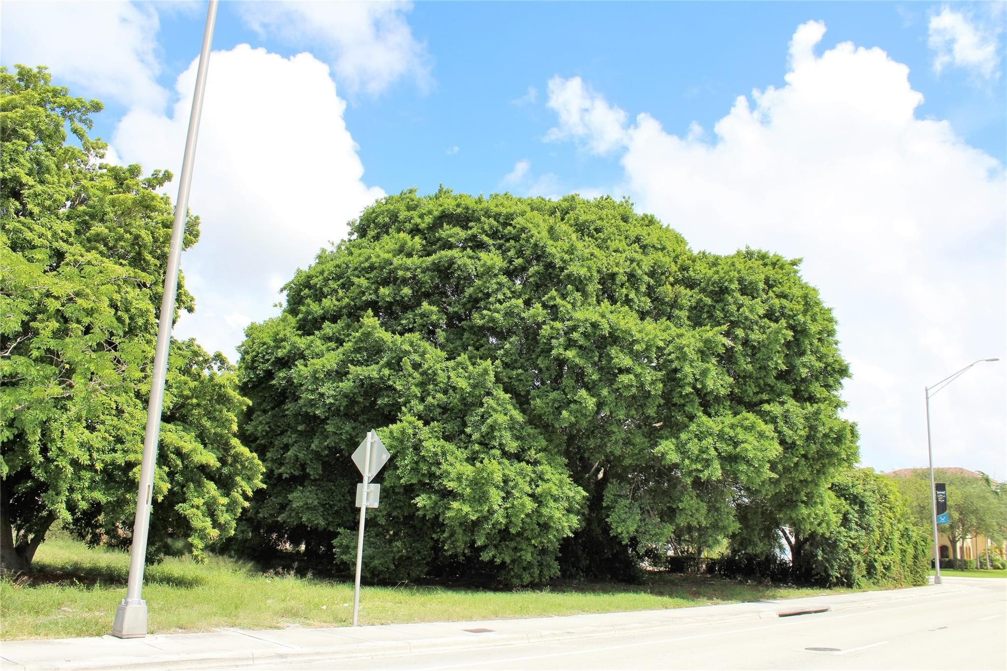 583 S Dixie Highway, Deerfield Beach, FL 33441 — photo 7 of 12