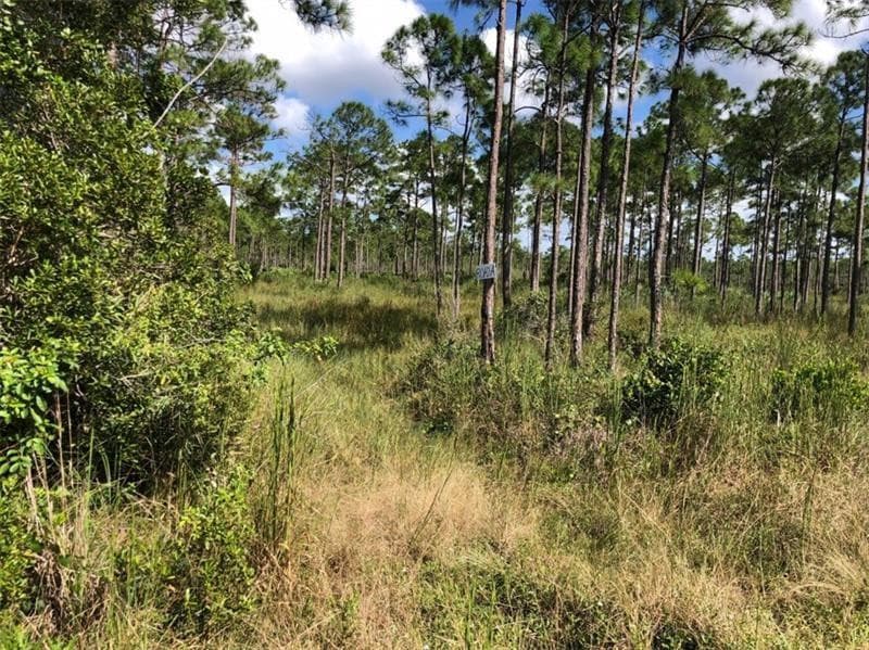 16788 NW 276th Street, Okeechobee, FL 34972 — photo 15 of 39