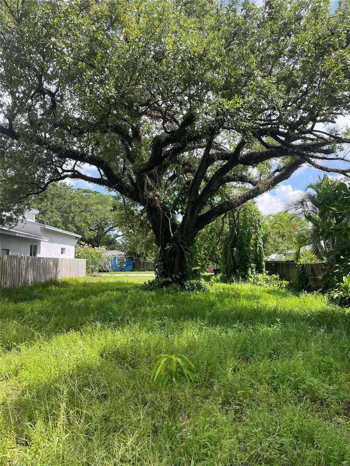 1545 SW 32nd Street, Fort Lauderdale, FL 33315 — photo 3 of 4