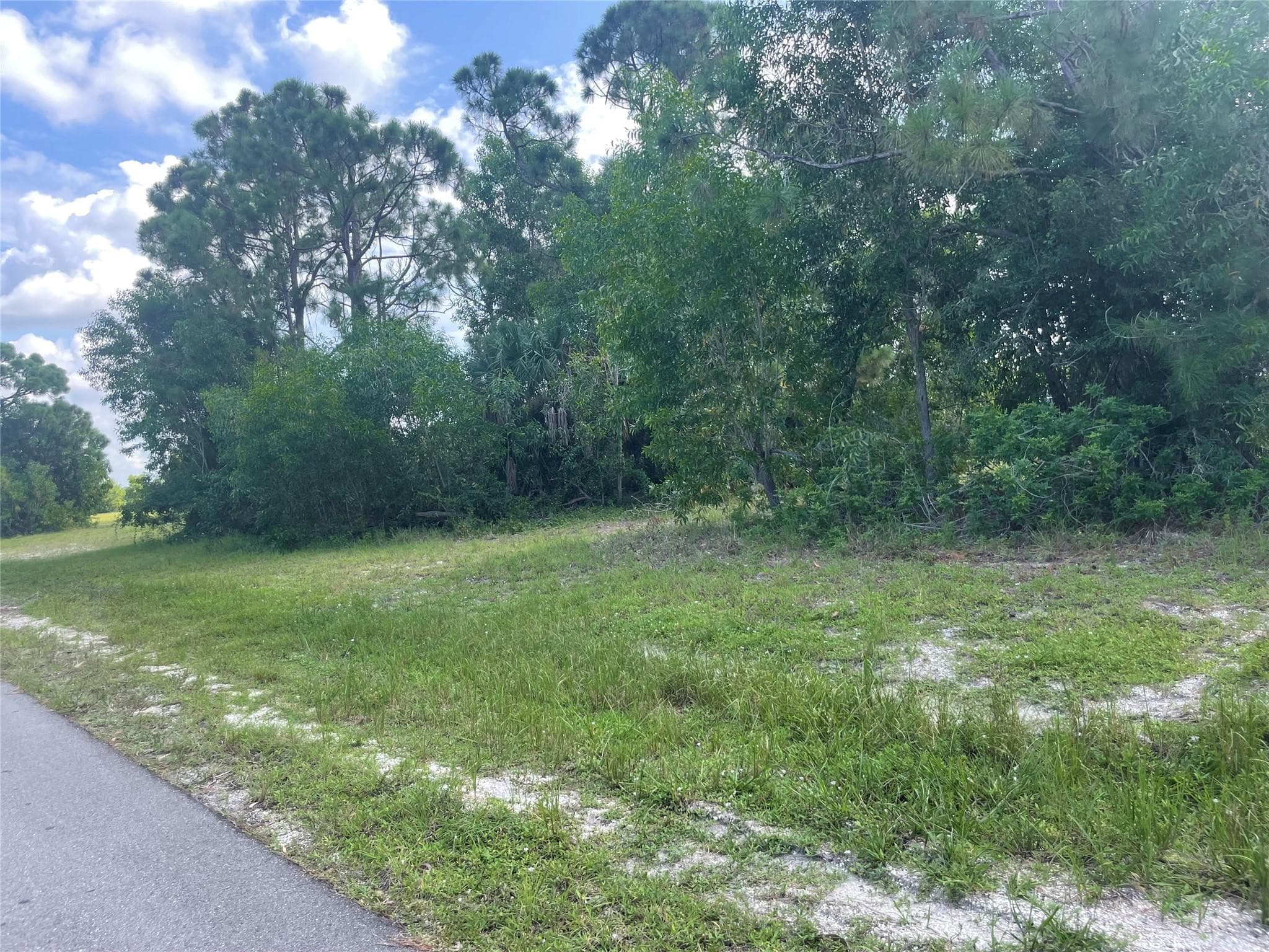 4513 NW 34th Place, Cape Coral, FL 33993 — photo 13 of 13