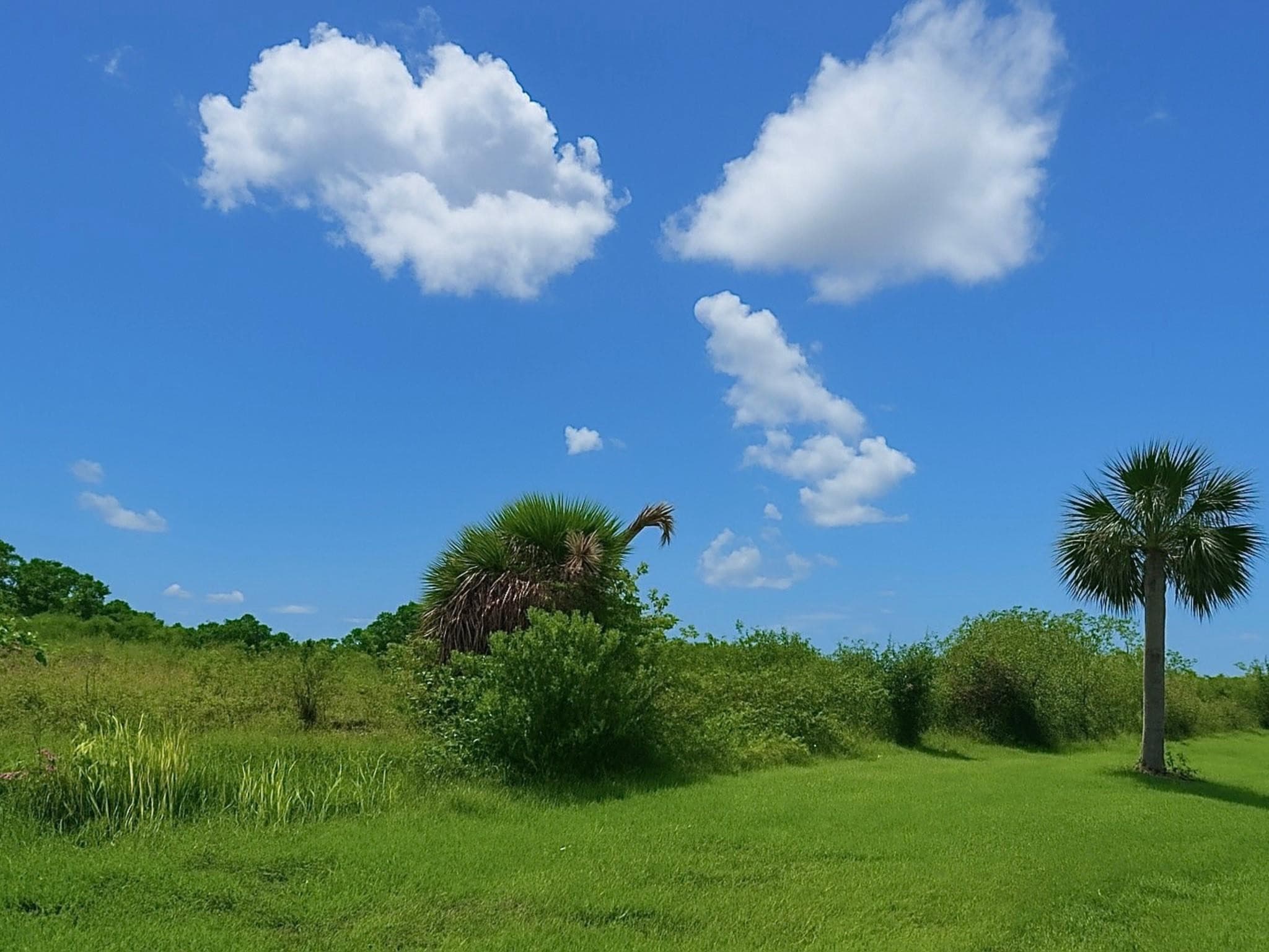 6617 SE 26th Trail, Okeechobee, FL 34974 — photo 4 of 4
