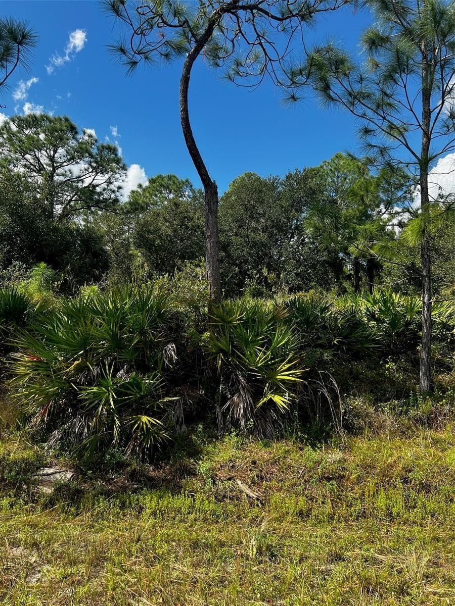 1221 Hamilton Avenue, Lehigh Acres, FL 33972 — photo 4 of 6
