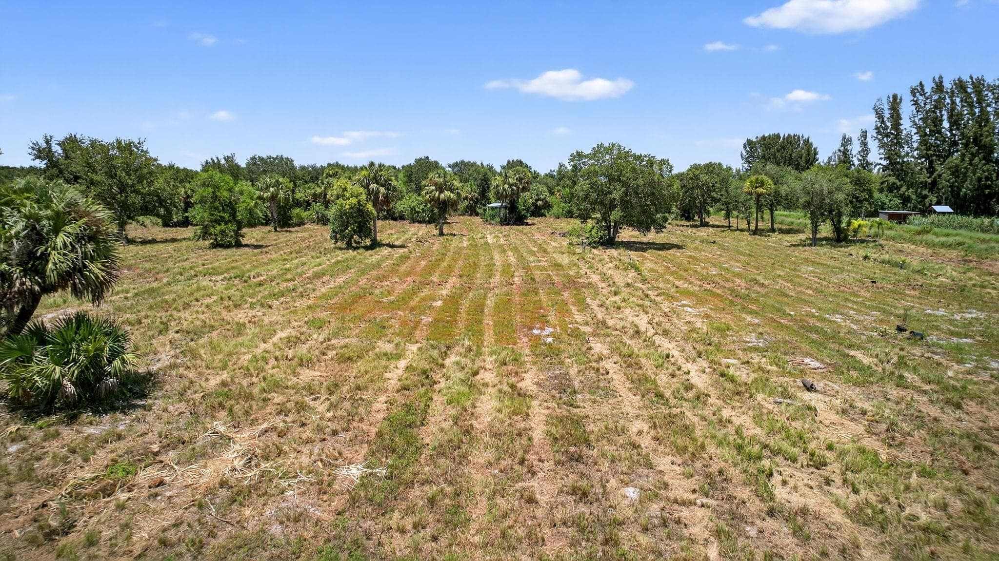 xx Xx Bedu Court, Loxahatchee, FL 33470 — photo 30 of 42