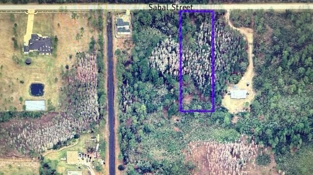 580 Sabal Street, Orlando, FL 32833 — photo 4 of 4