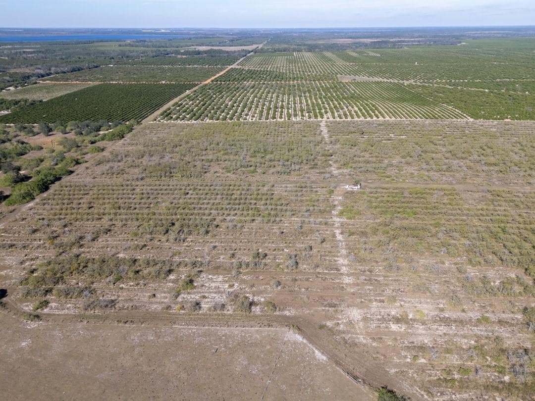 3073 CR 627, Avon Park, FL 33825 — photo 4 of 38