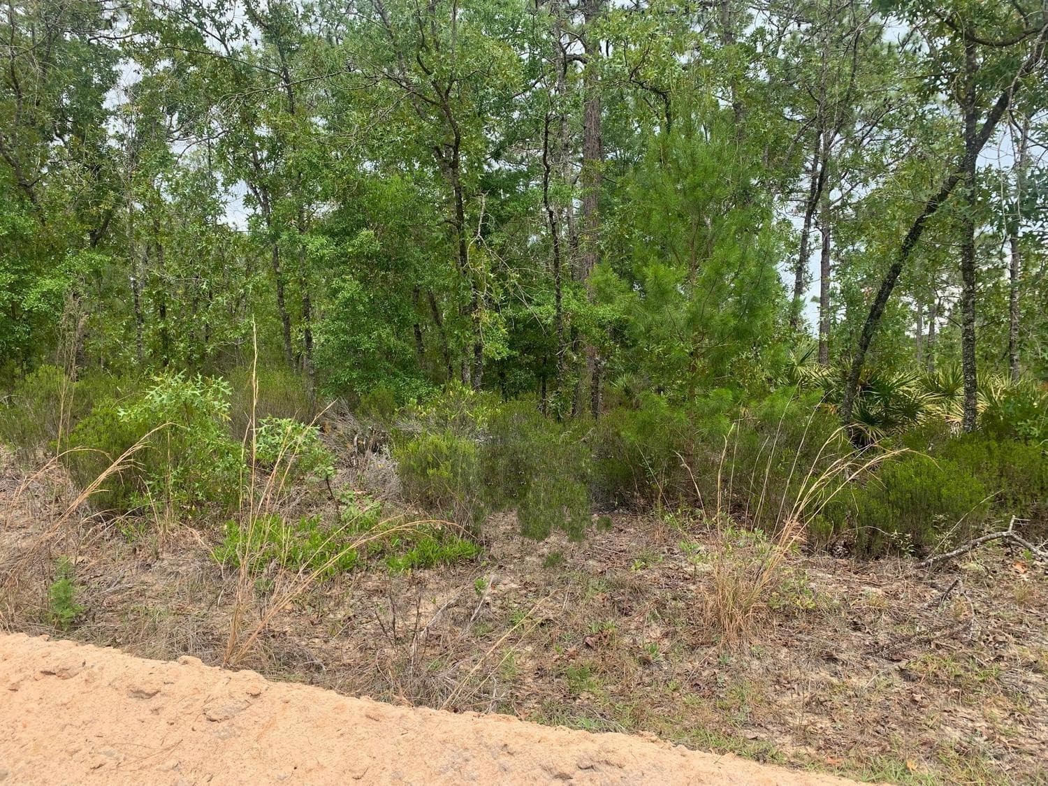 0 Miami Street, Interlachen, FL 32148 — photo 1 of 2
