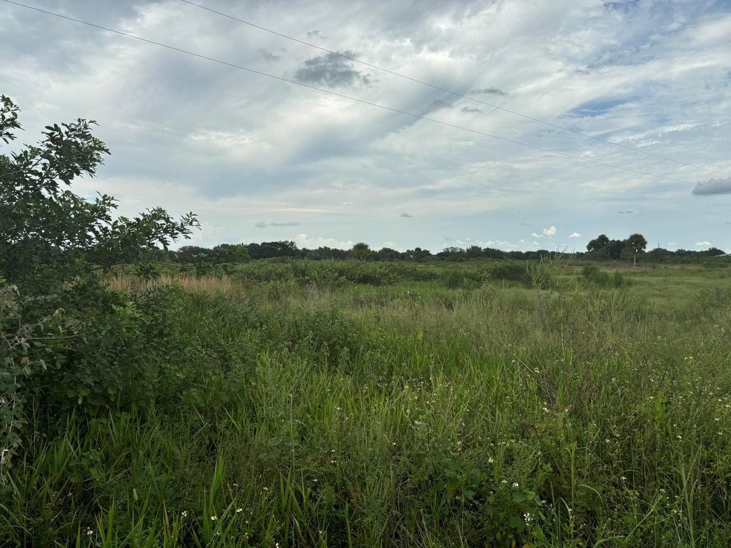 29800 NW 192nd Avenue, Okeechobee, FL 34972 — photo 1 of 4