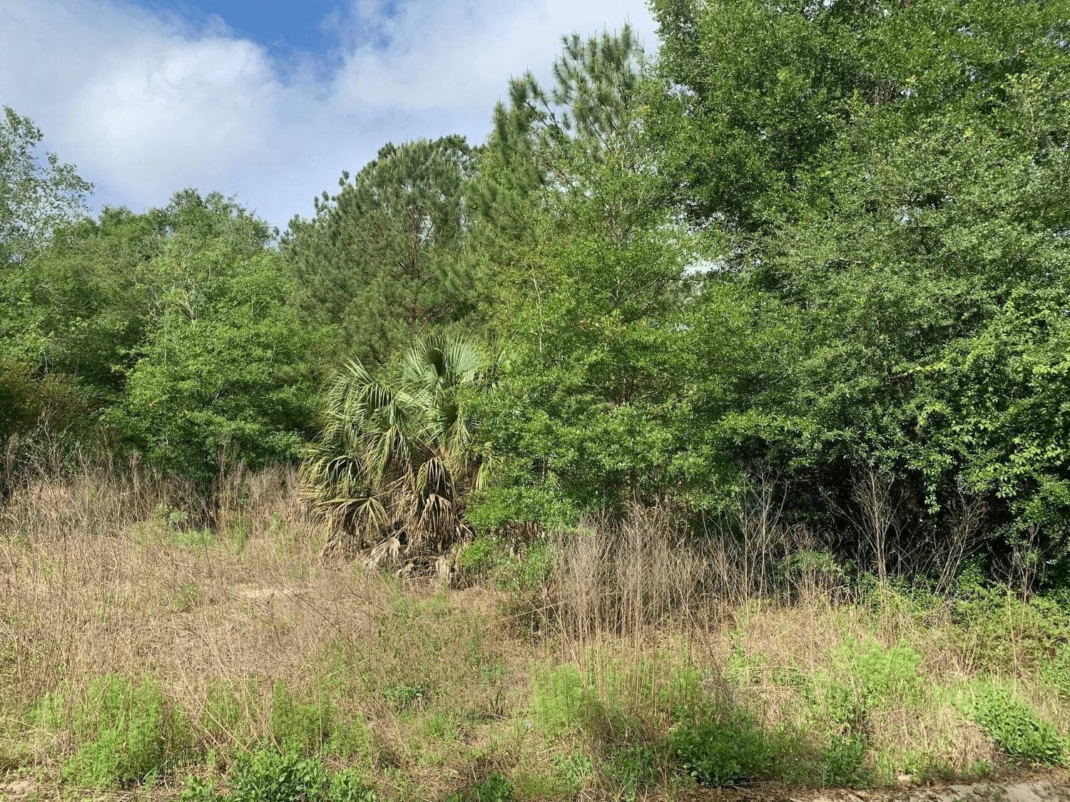 0 Douglas Drive, Interlachen, FL 32148 — photo