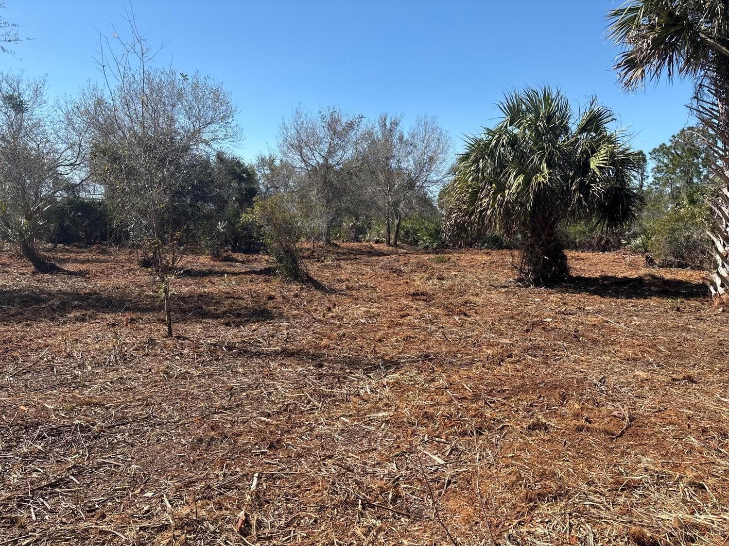 0 NW 304th Street, Okeechobee, FL 34972 — photo 1 of 4