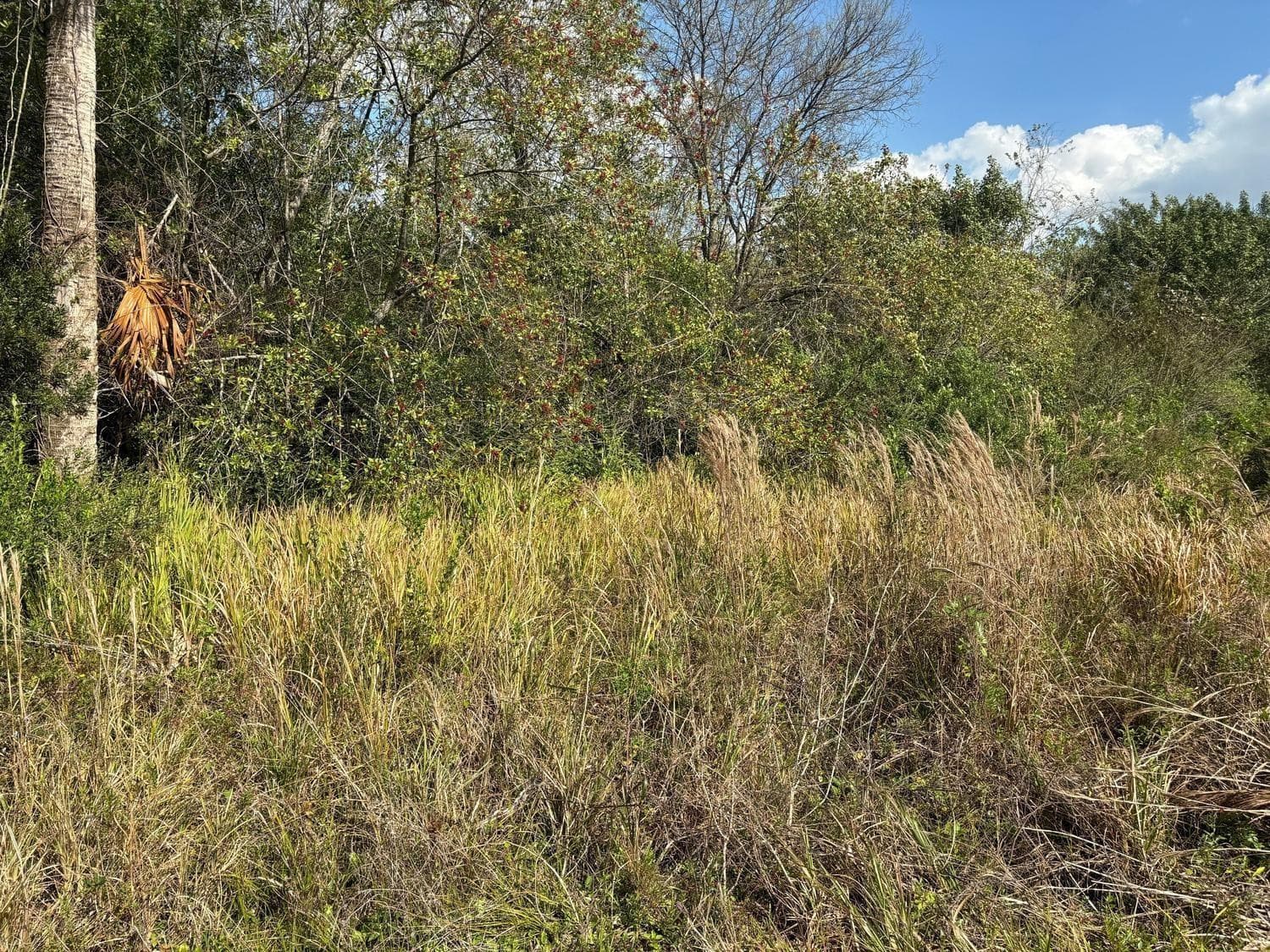 3584 US Highway 98, Okeechobee, FL 34972 — photo 1 of 3