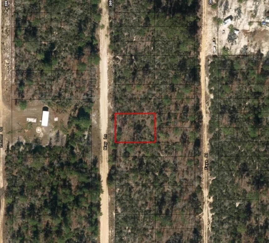 0 May Lane, Interlachen, FL 32148 — photo 2 of 2
