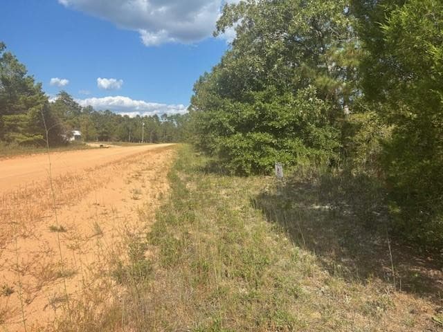 0 Nezperce Drive, Alford, FL 32420 — photo