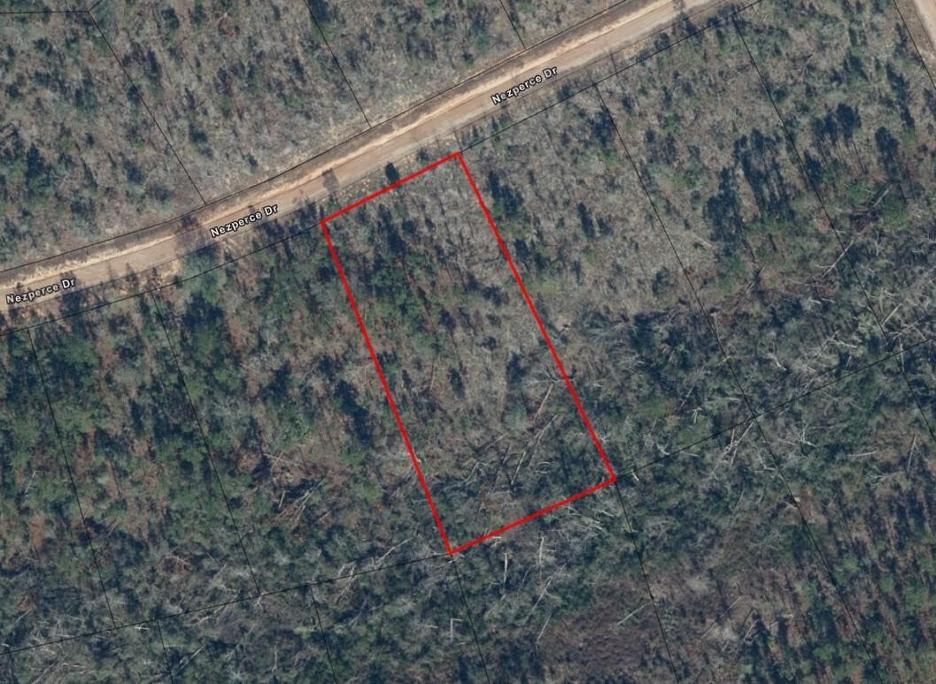 0 Nezperce Drive, Alford, FL 32420 — photo 3 of 3