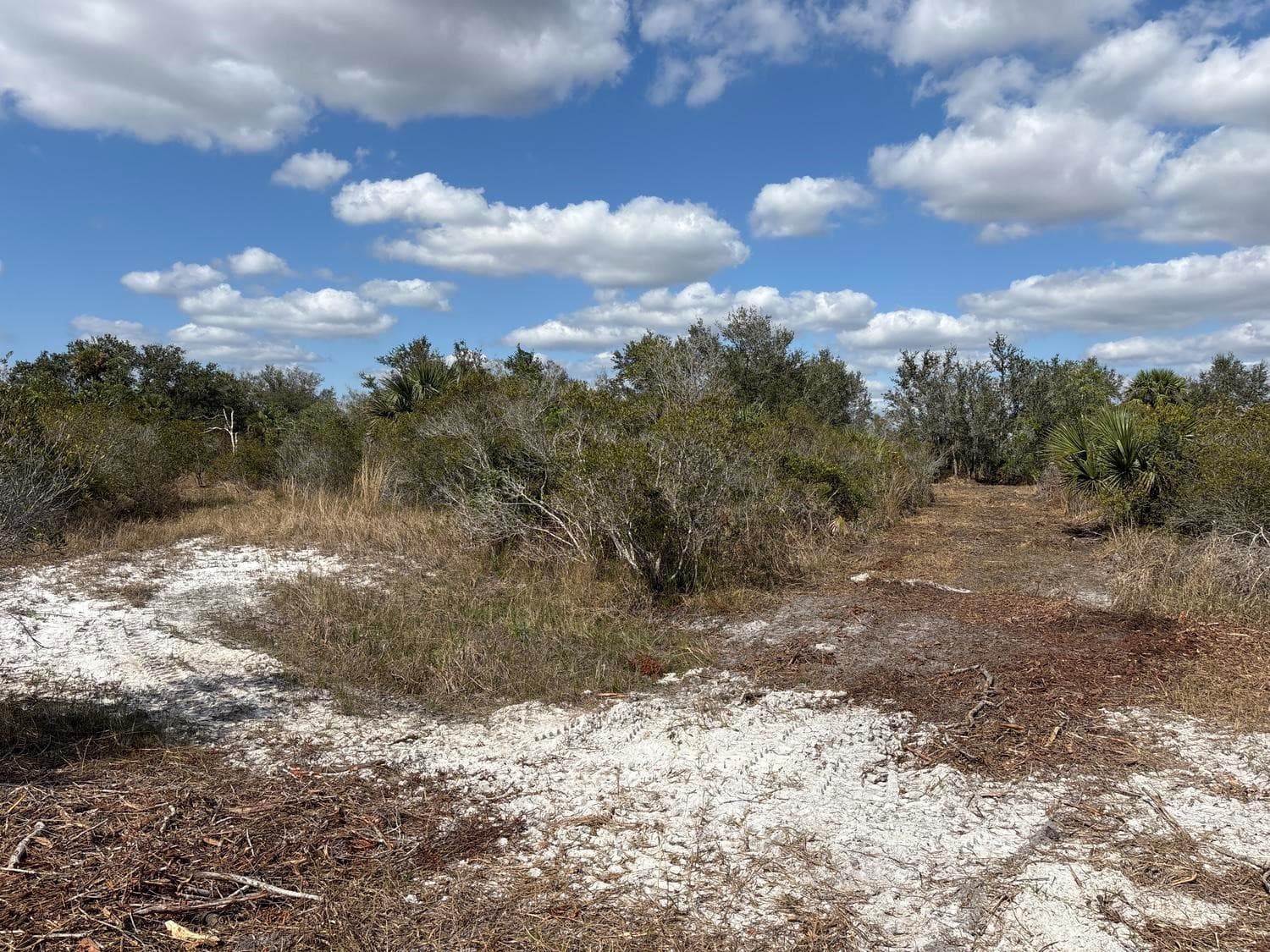 0 NW 298th Street, Okeechobee, FL 34972 — photo 1 of 2
